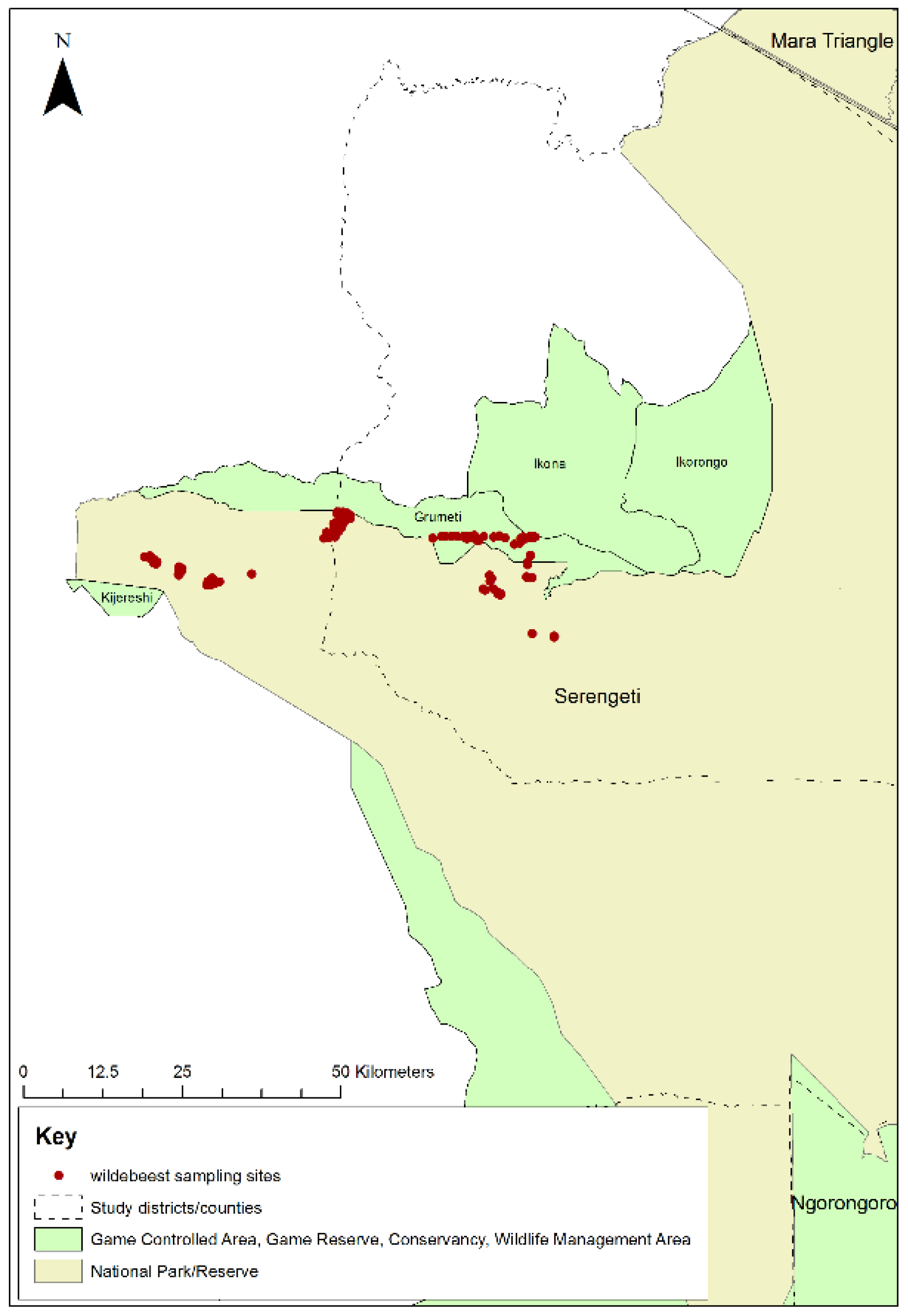 Viruses 13 00838 g003 Viruses 13 00838 g003