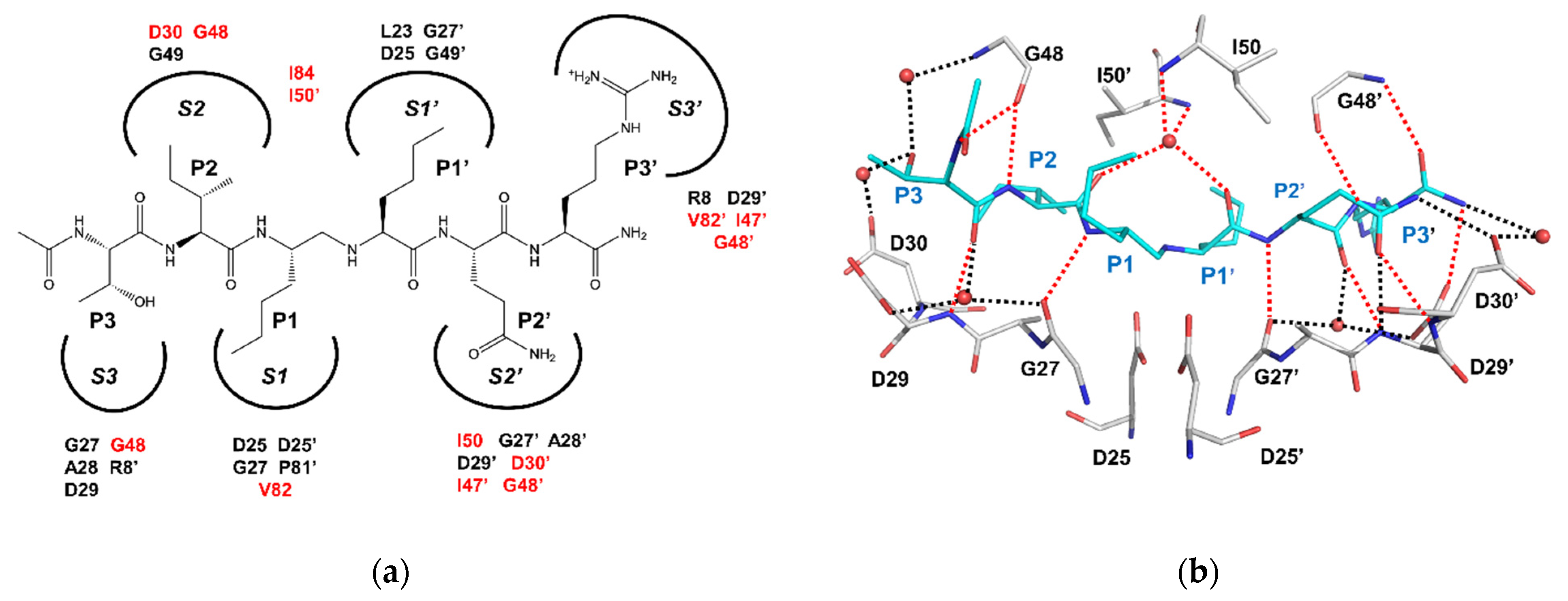 Viruses 13 00839 g002