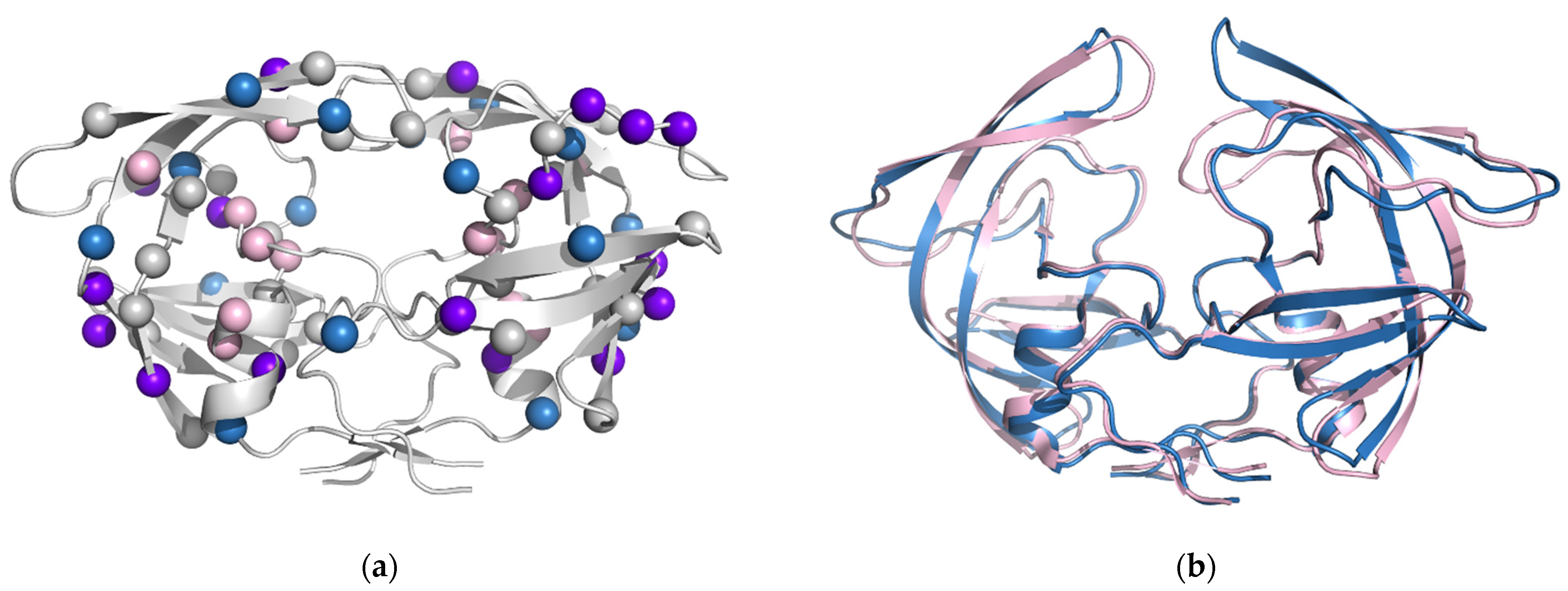 Viruses 13 00839 g005