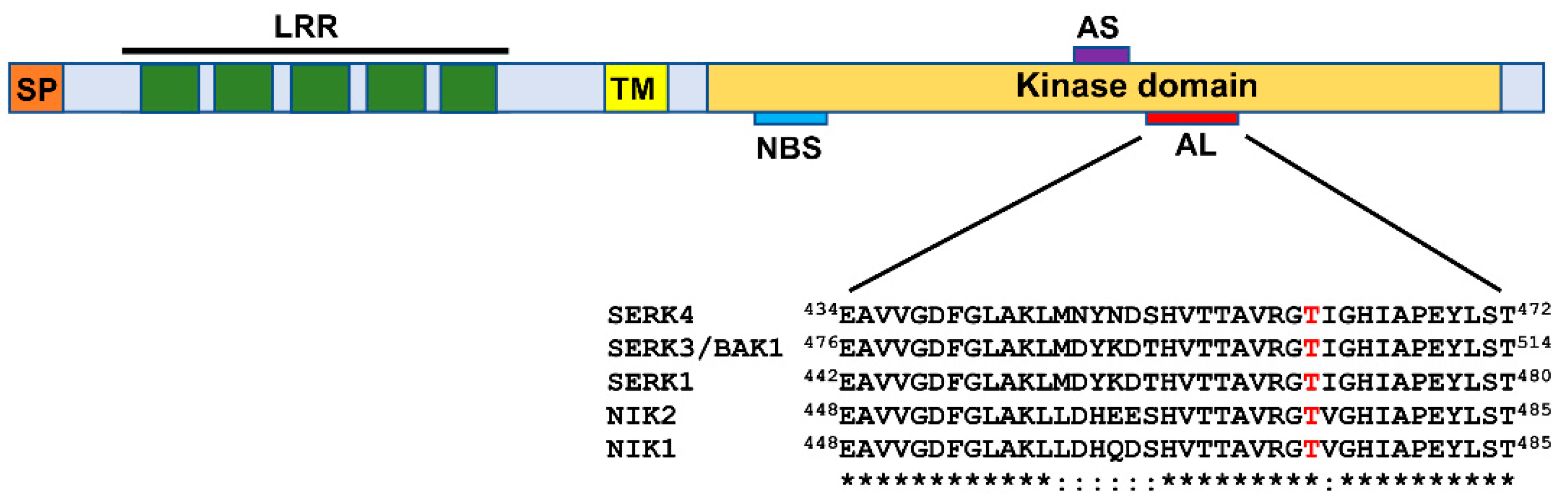 Viruses 13 00840 g002 Viruses 13 00840 g002