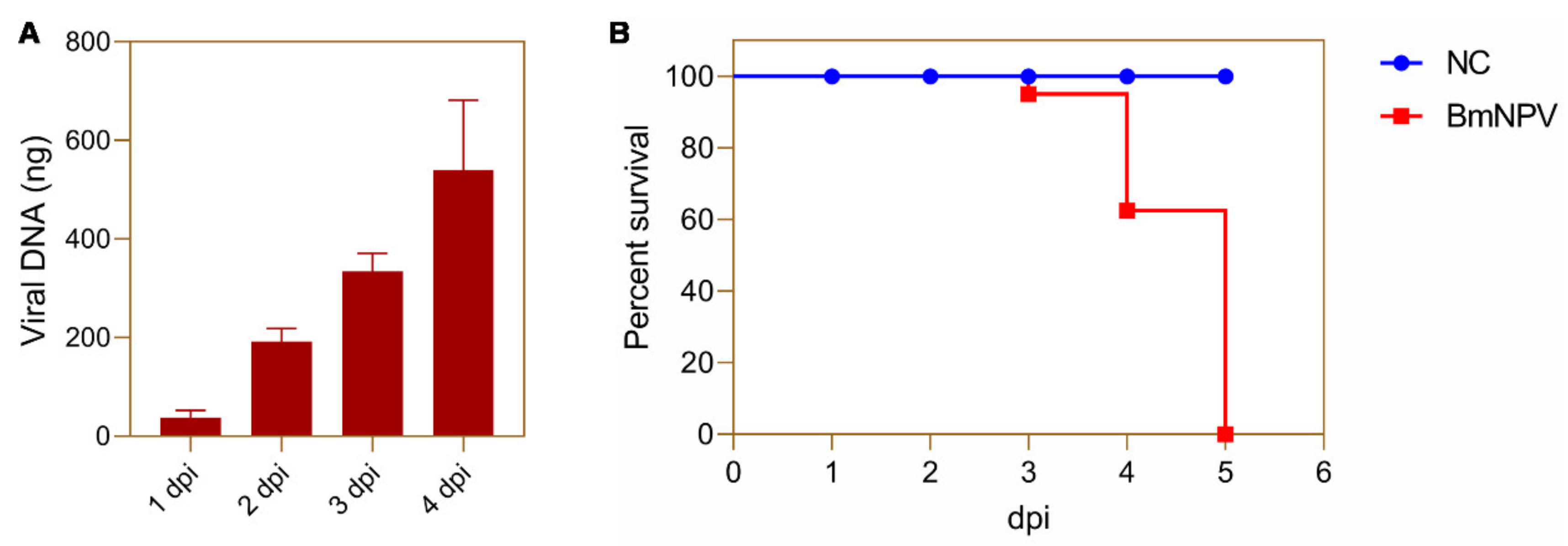 Viruses 13 00841 g001
