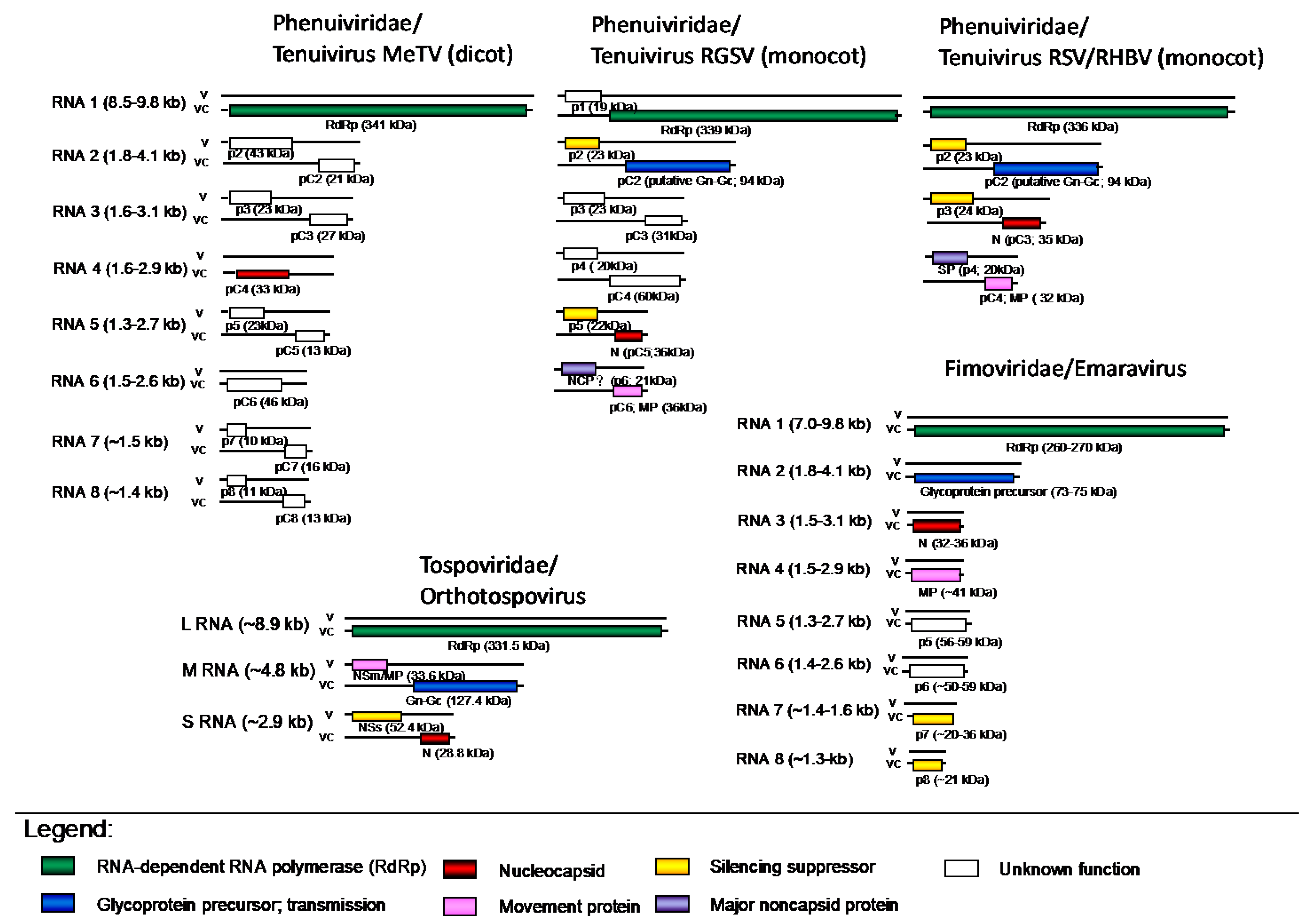 Viruses 13 00842 g003