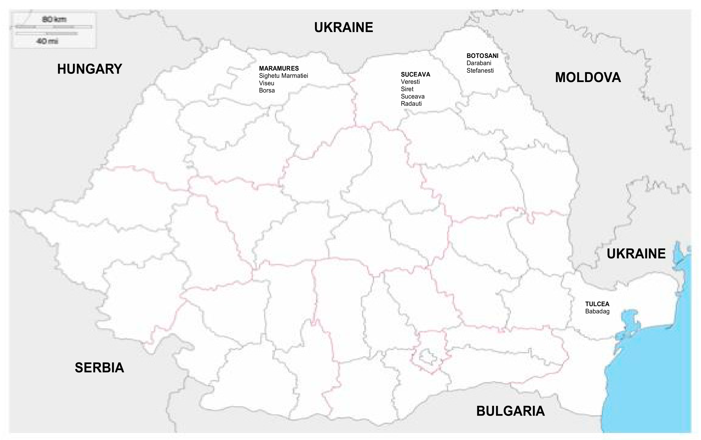 Viruses 13 00844 g001 Viruses 13 00844 g001