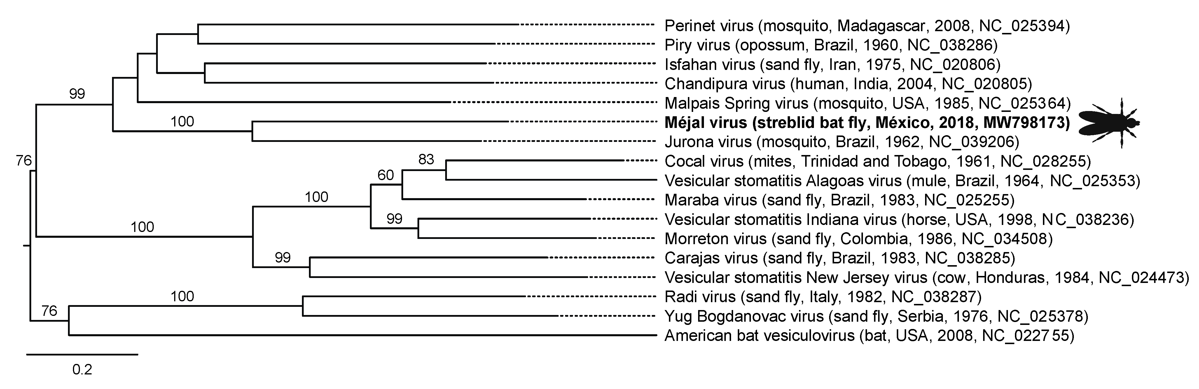 Viruses 13 00860 g003