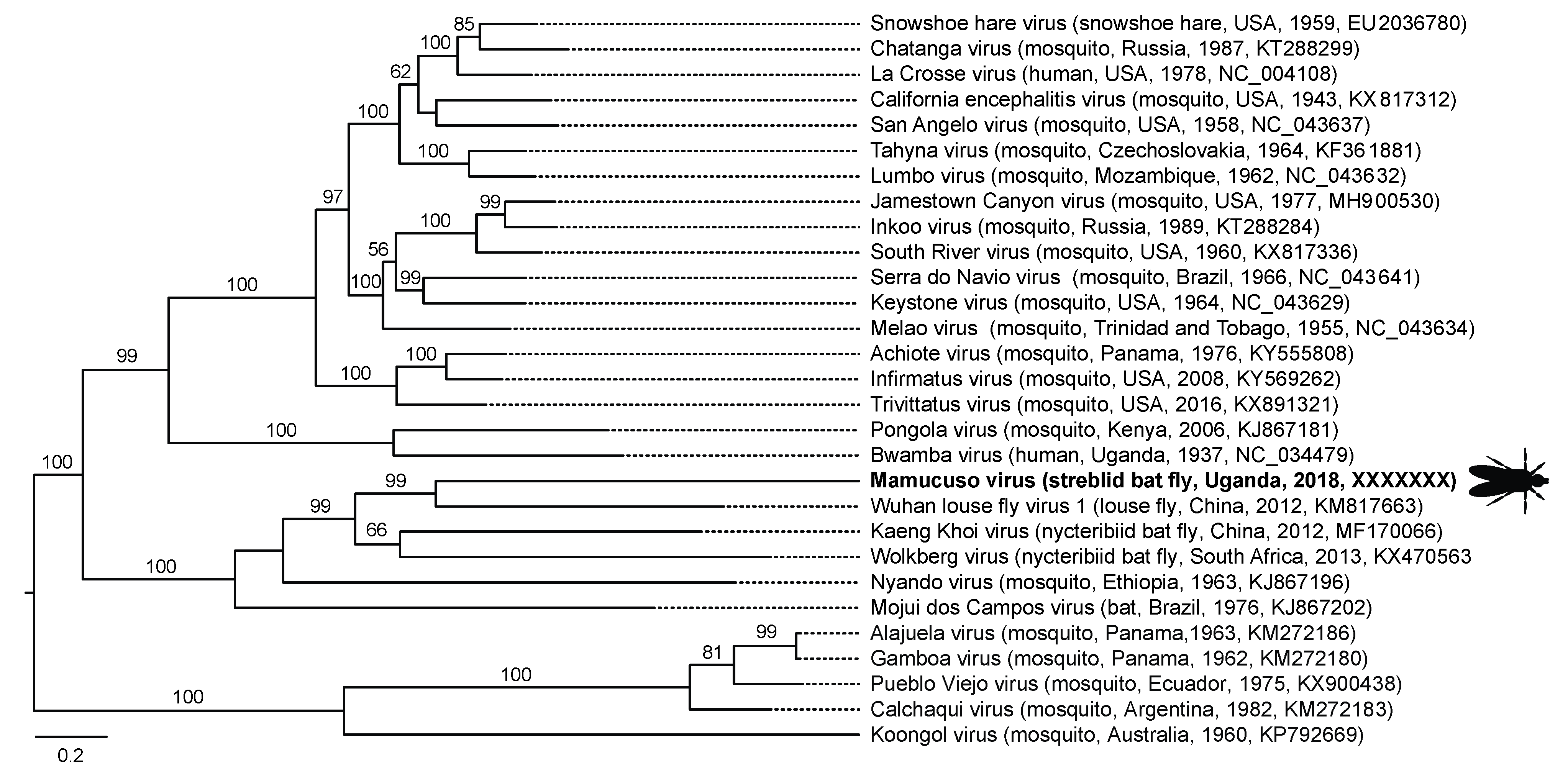 Viruses 13 00860 g005