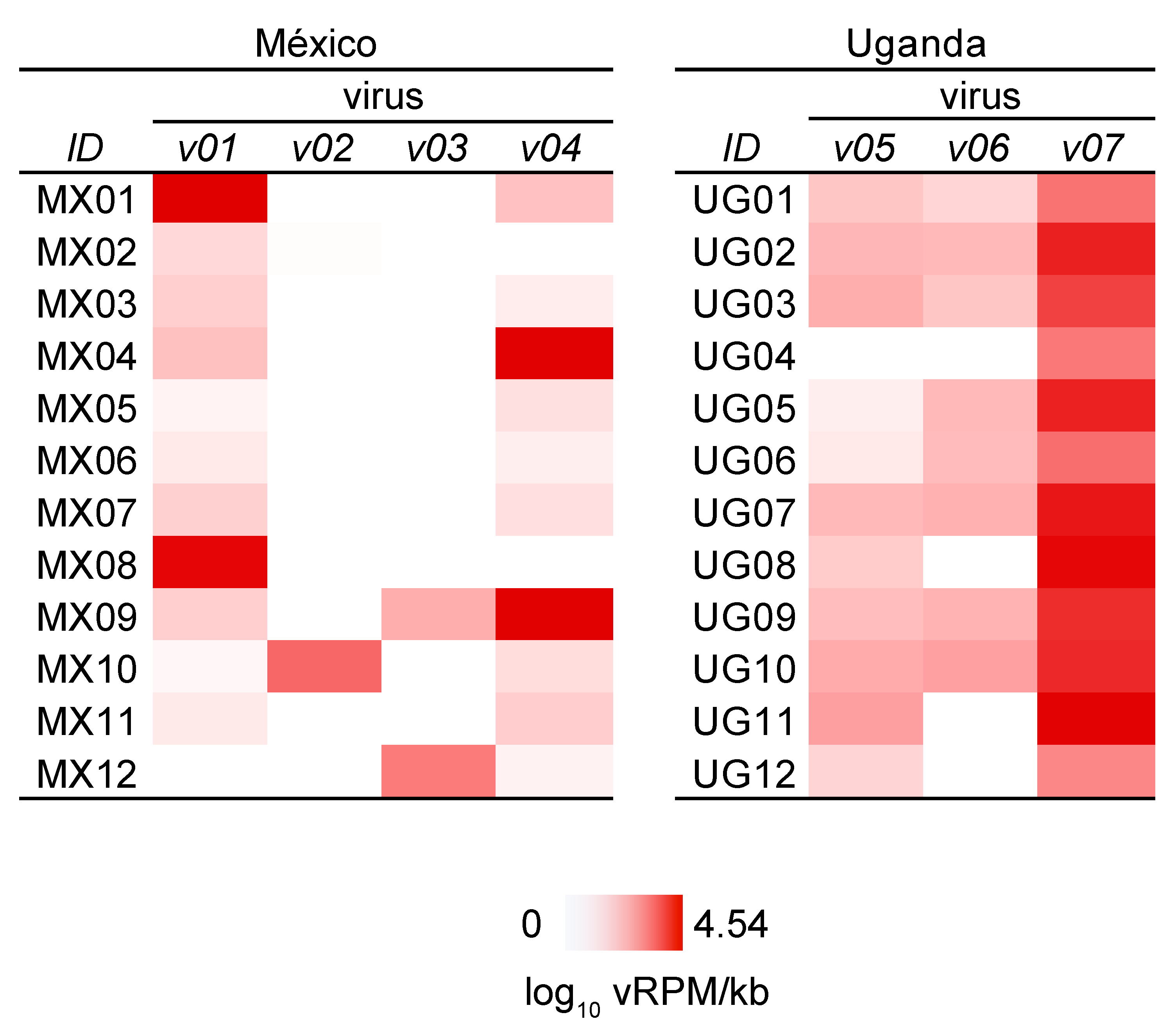 Viruses 13 00860 g006