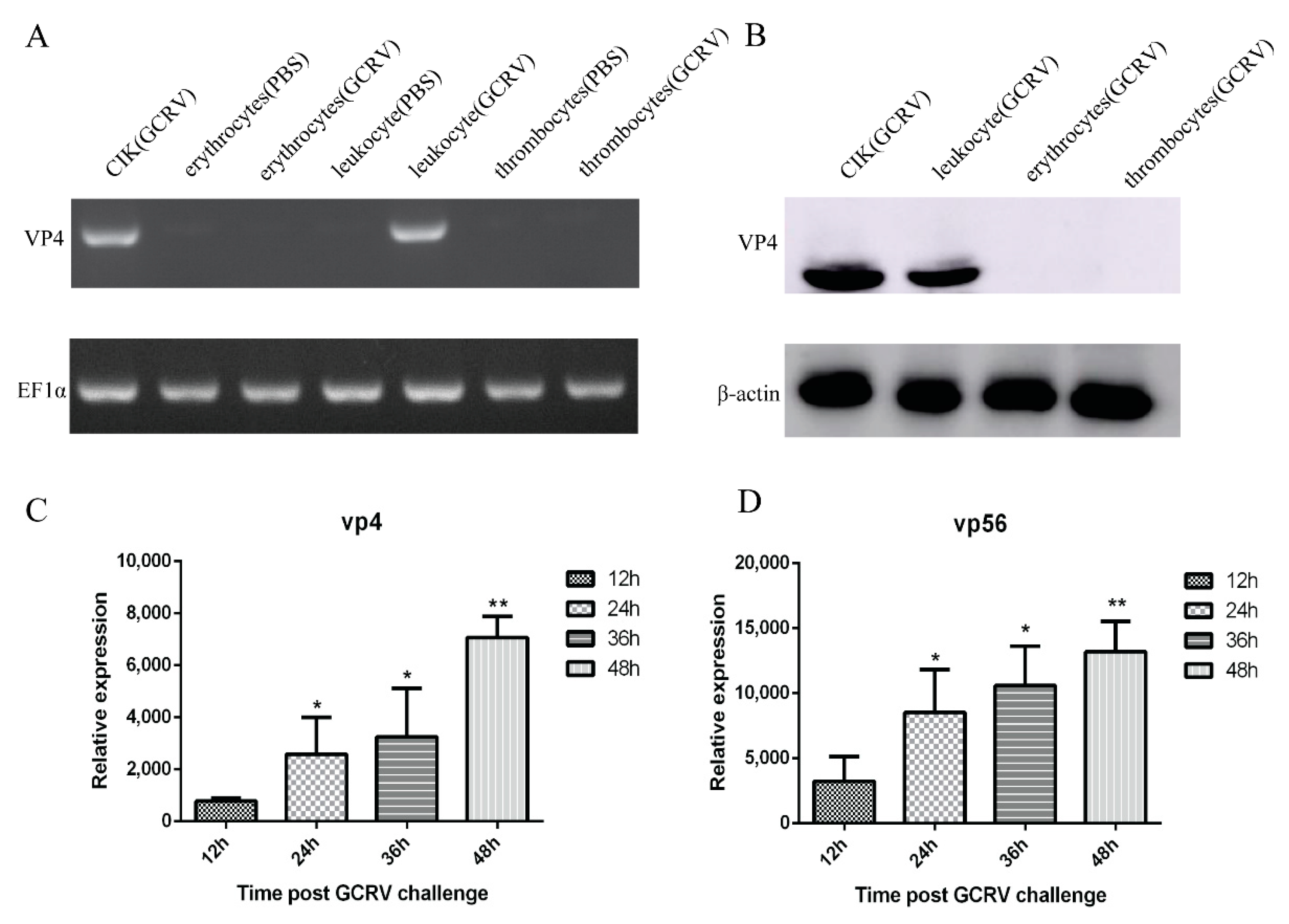 Viruses 13 00870 g002 Viruses 13 00870 g002