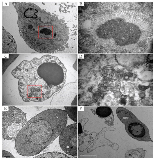 Viruses Special Issue Fish Virus