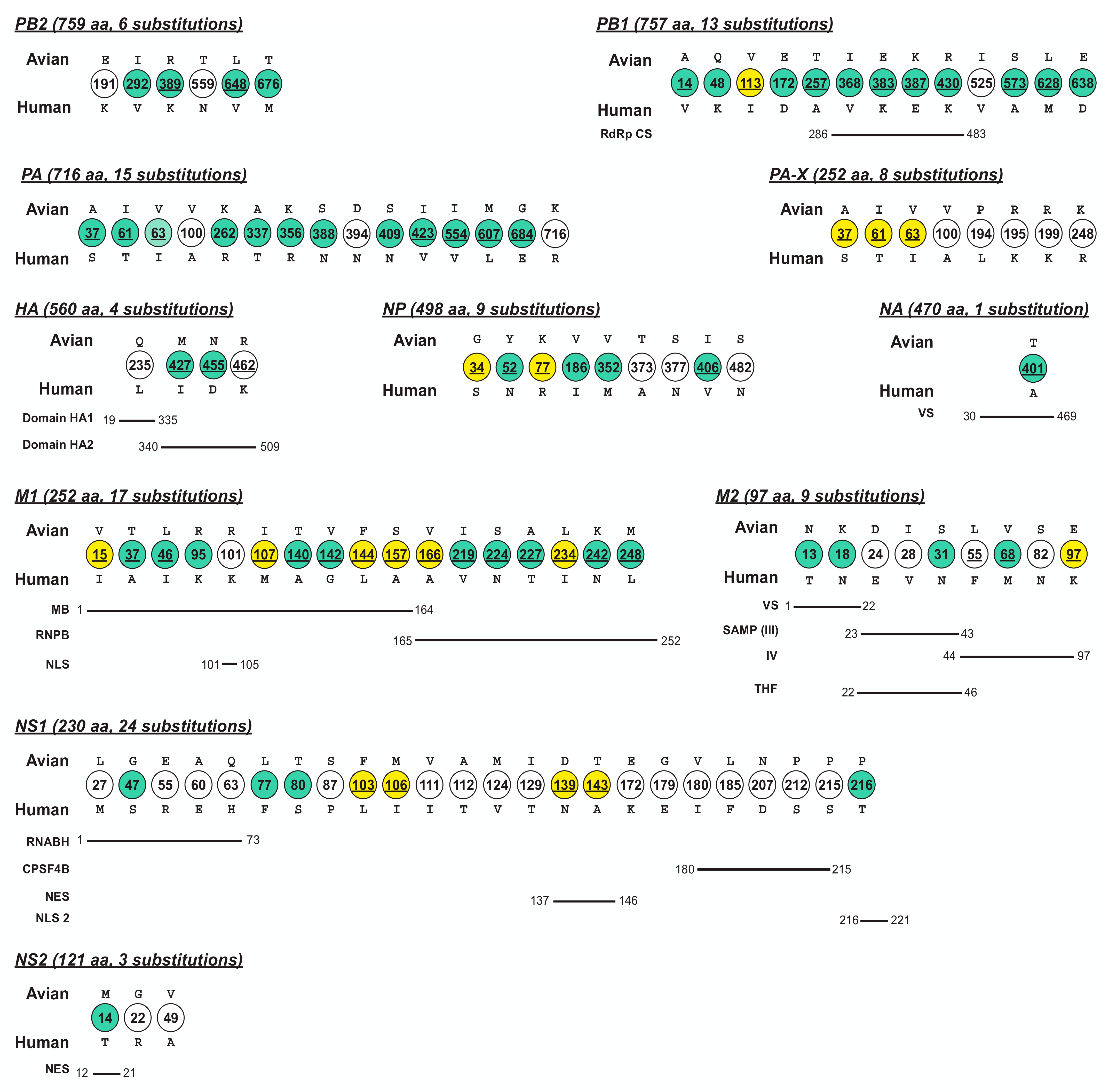 Viruses 13 00871 g002 Viruses 13 00871 g002