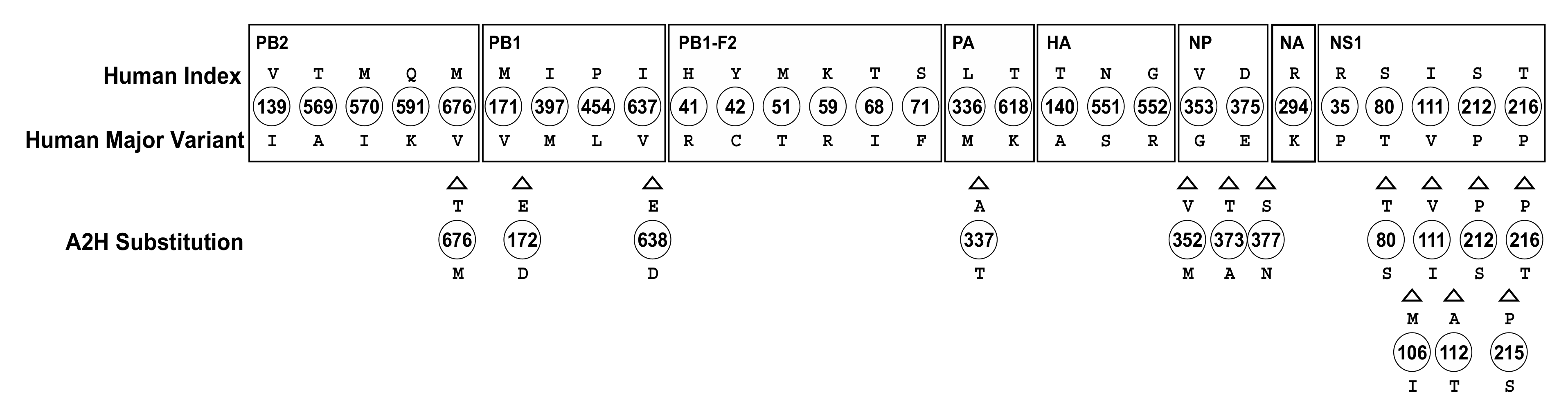 Viruses 13 00871 g004 Viruses 13 00871 g004