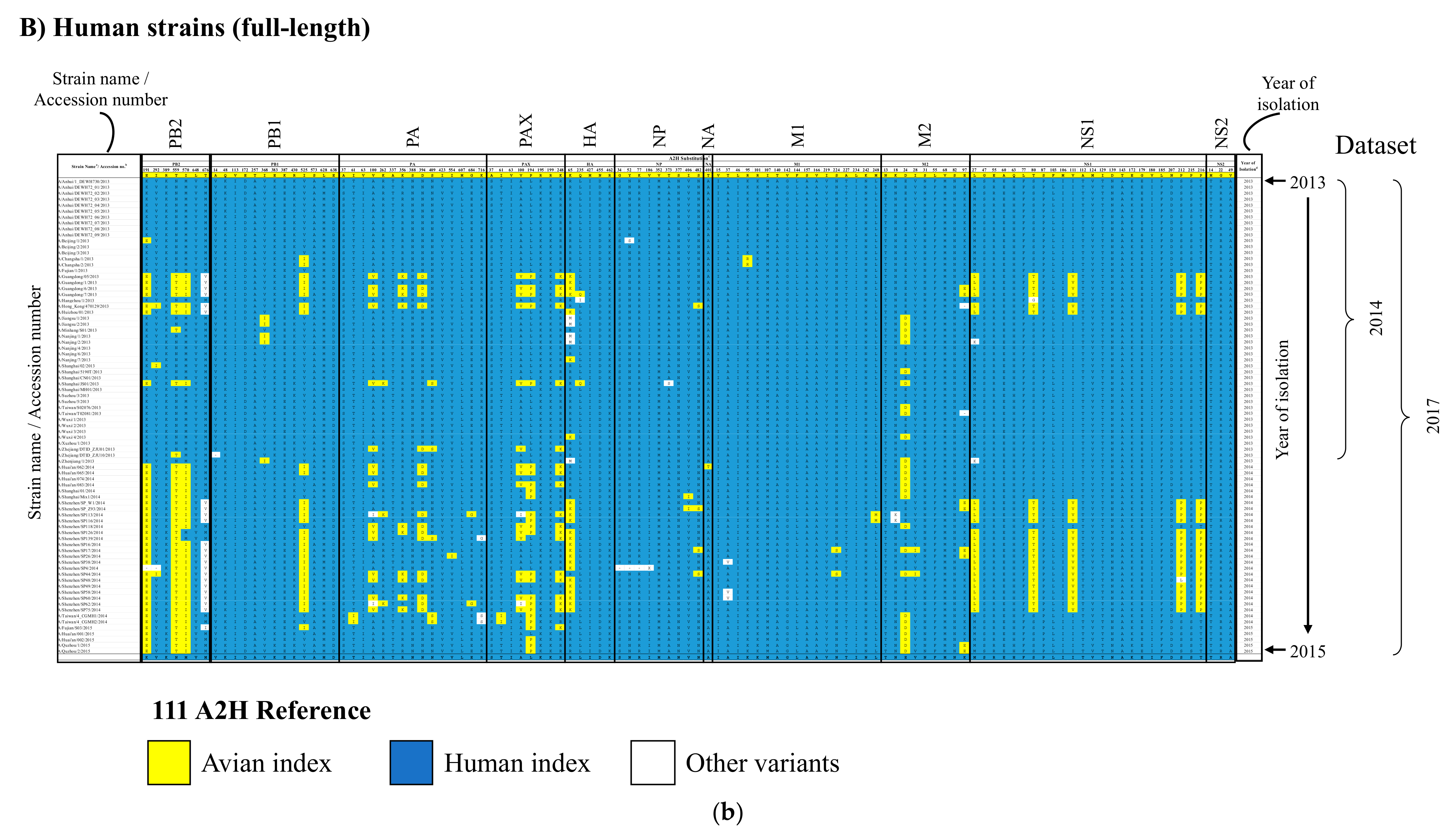 Viruses 13 00871 g005b Viruses 13 00871 g005b