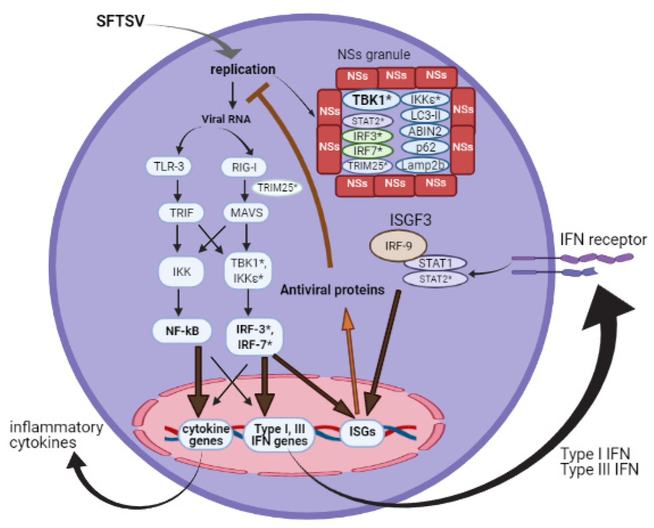 Viruses 13 00876 g001