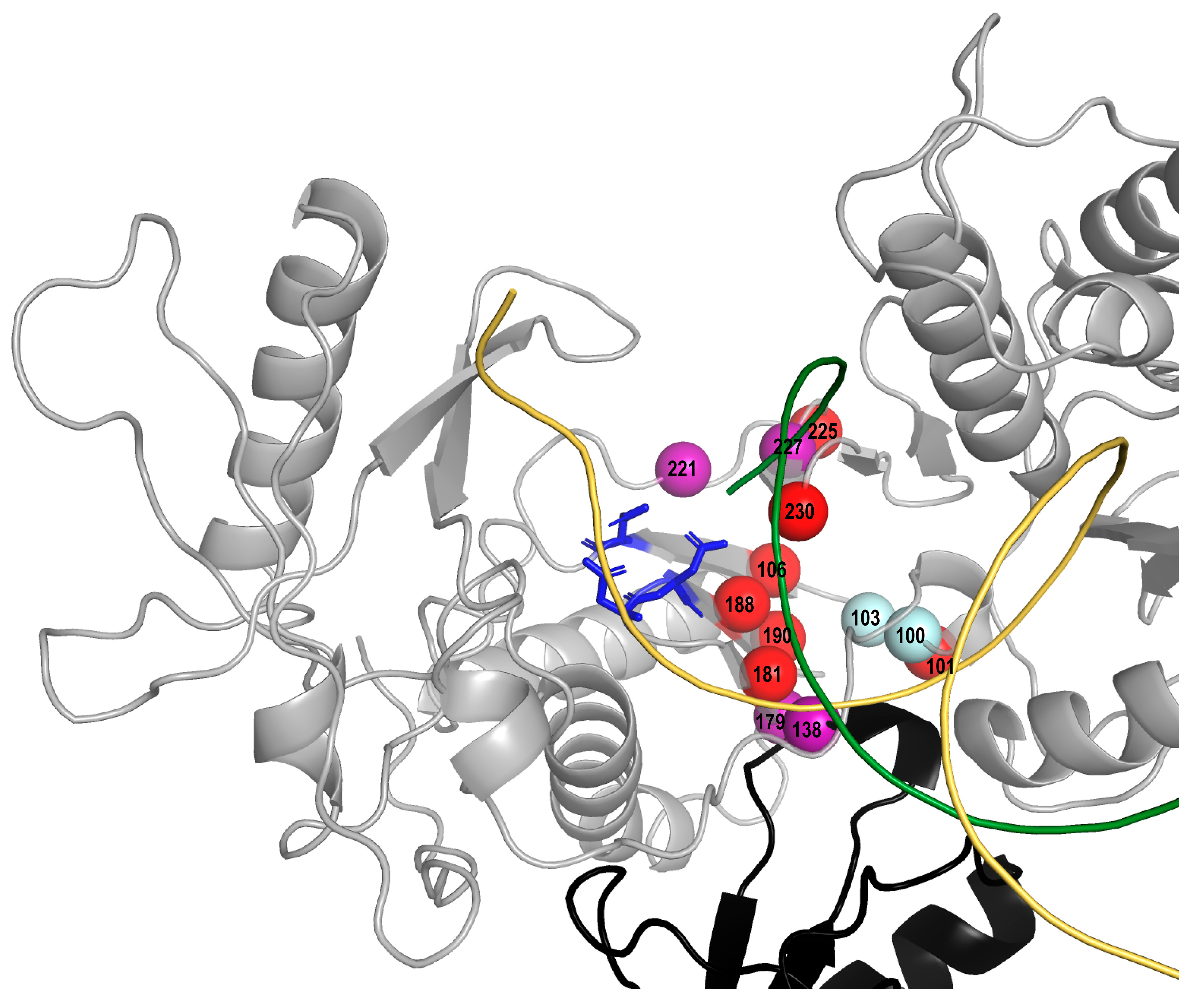 Viruses 13 00879 g002