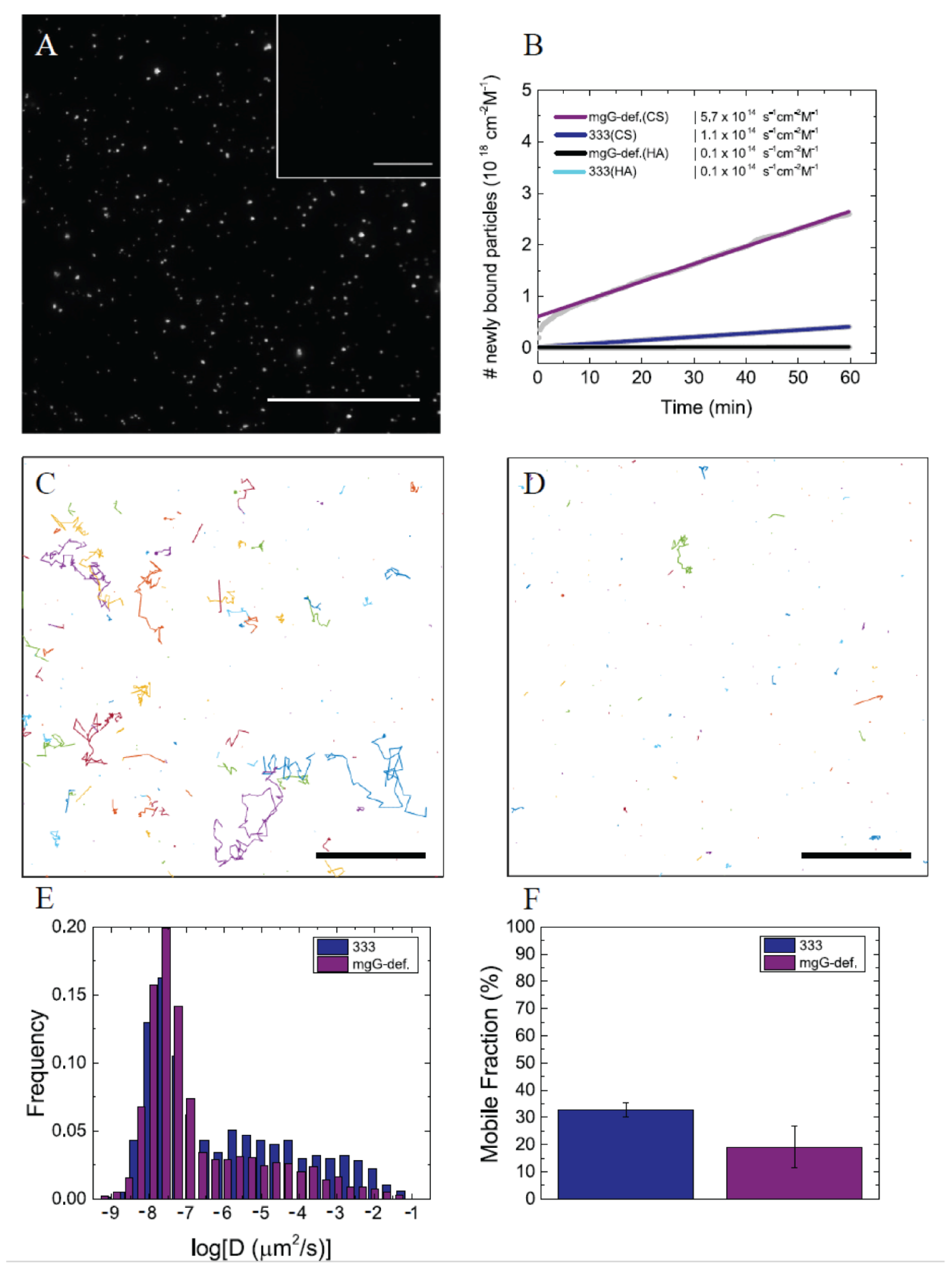 Viruses 13 00887 g005 Viruses 13 00887 g005
