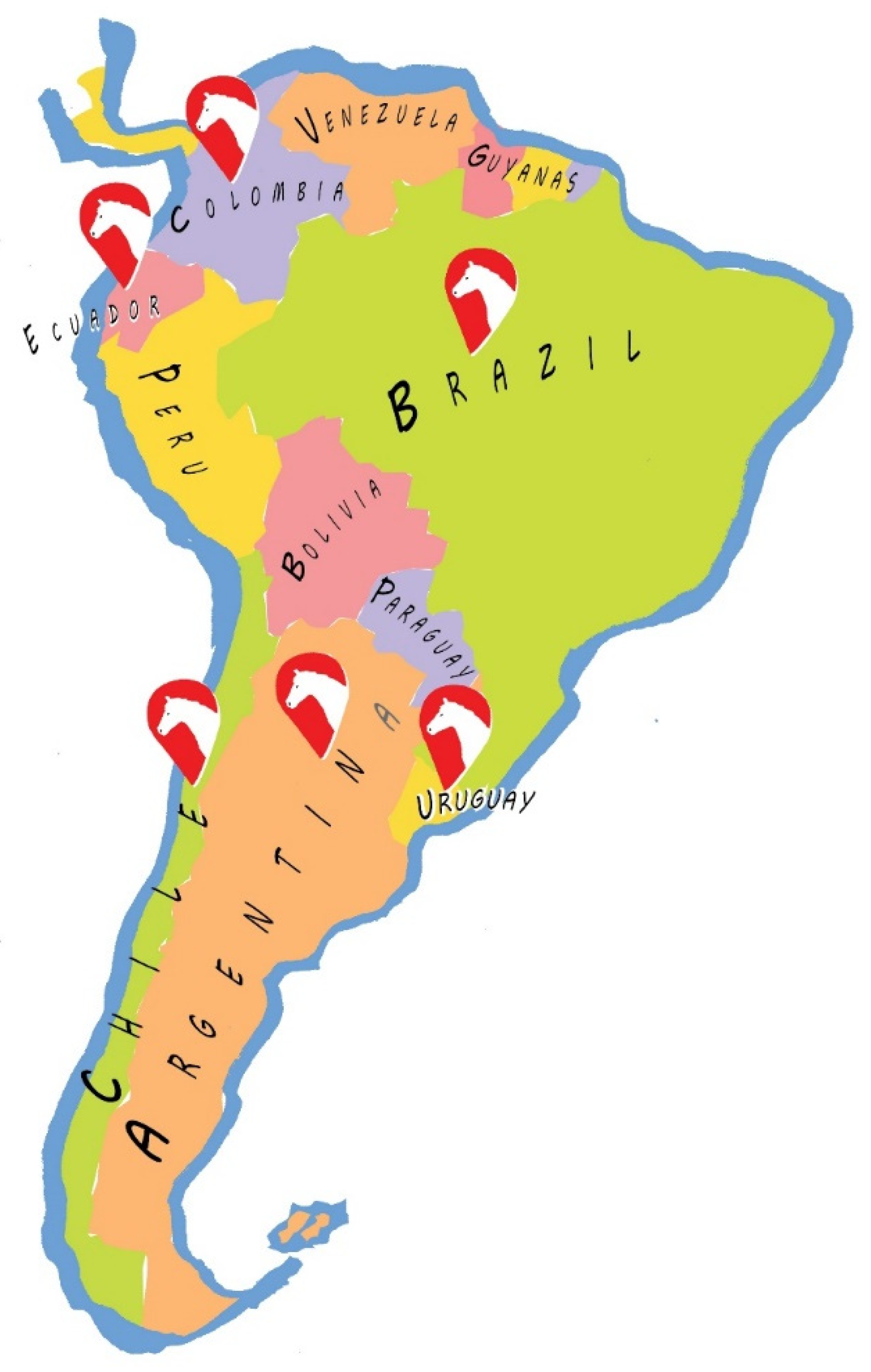 Viruses 13 00888 g001