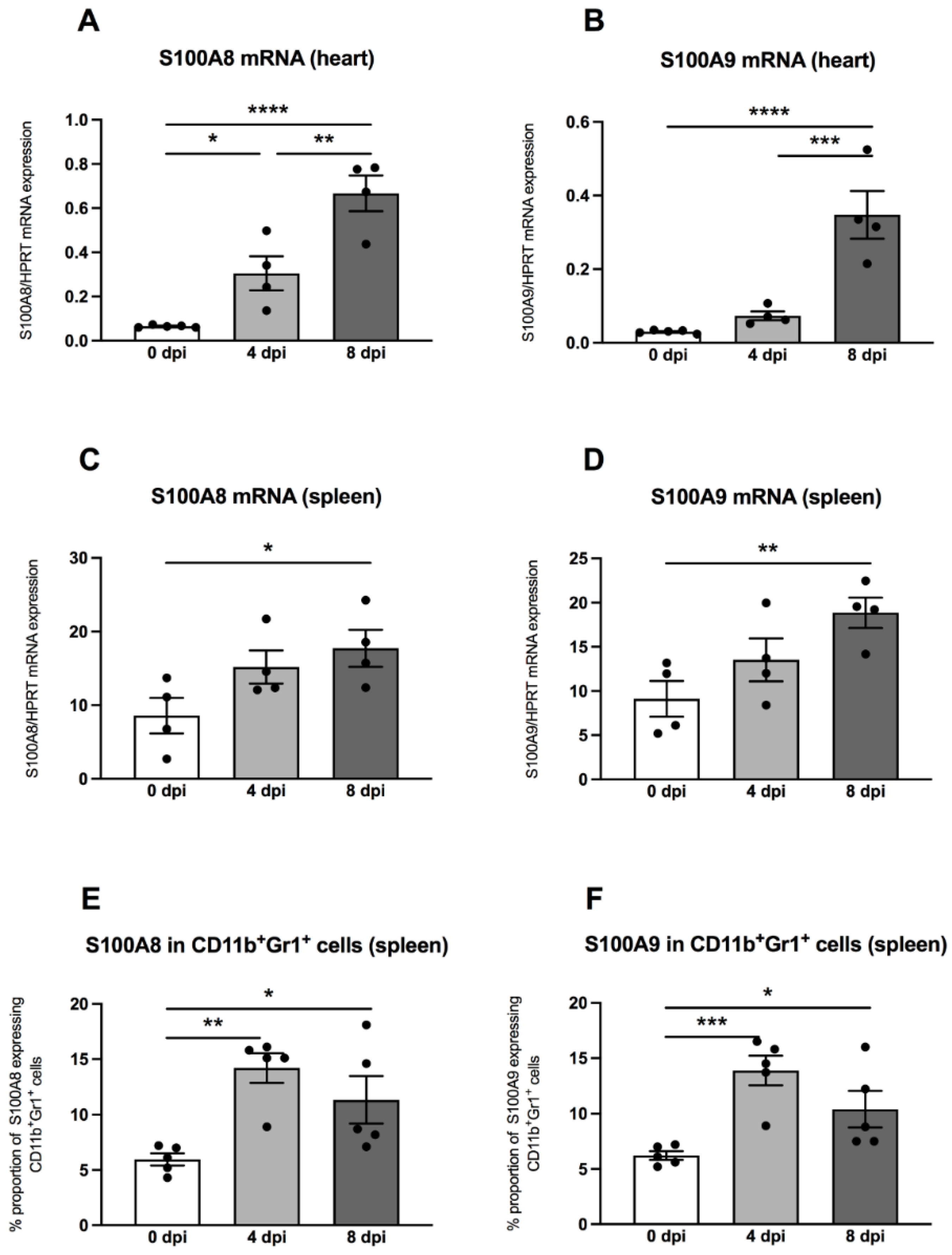 Viruses 13 00889 g004 Viruses 13 00889 g004