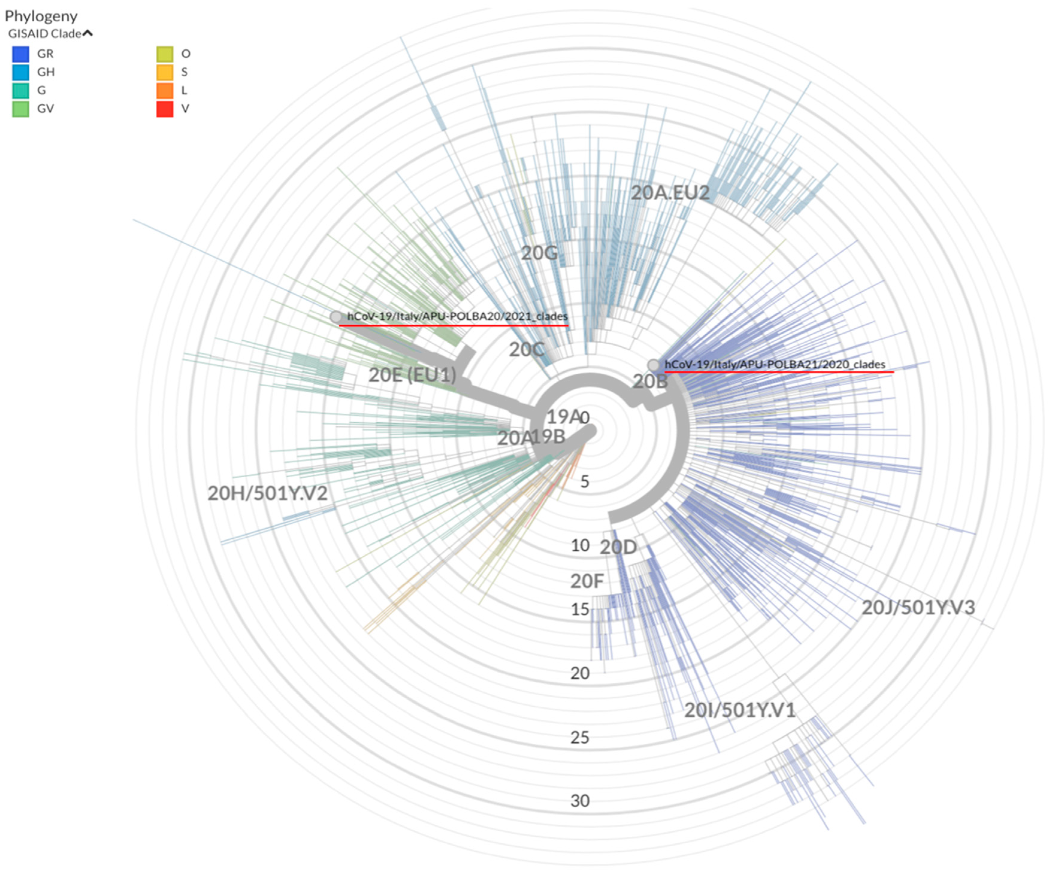 Viruses 13 00899 g001