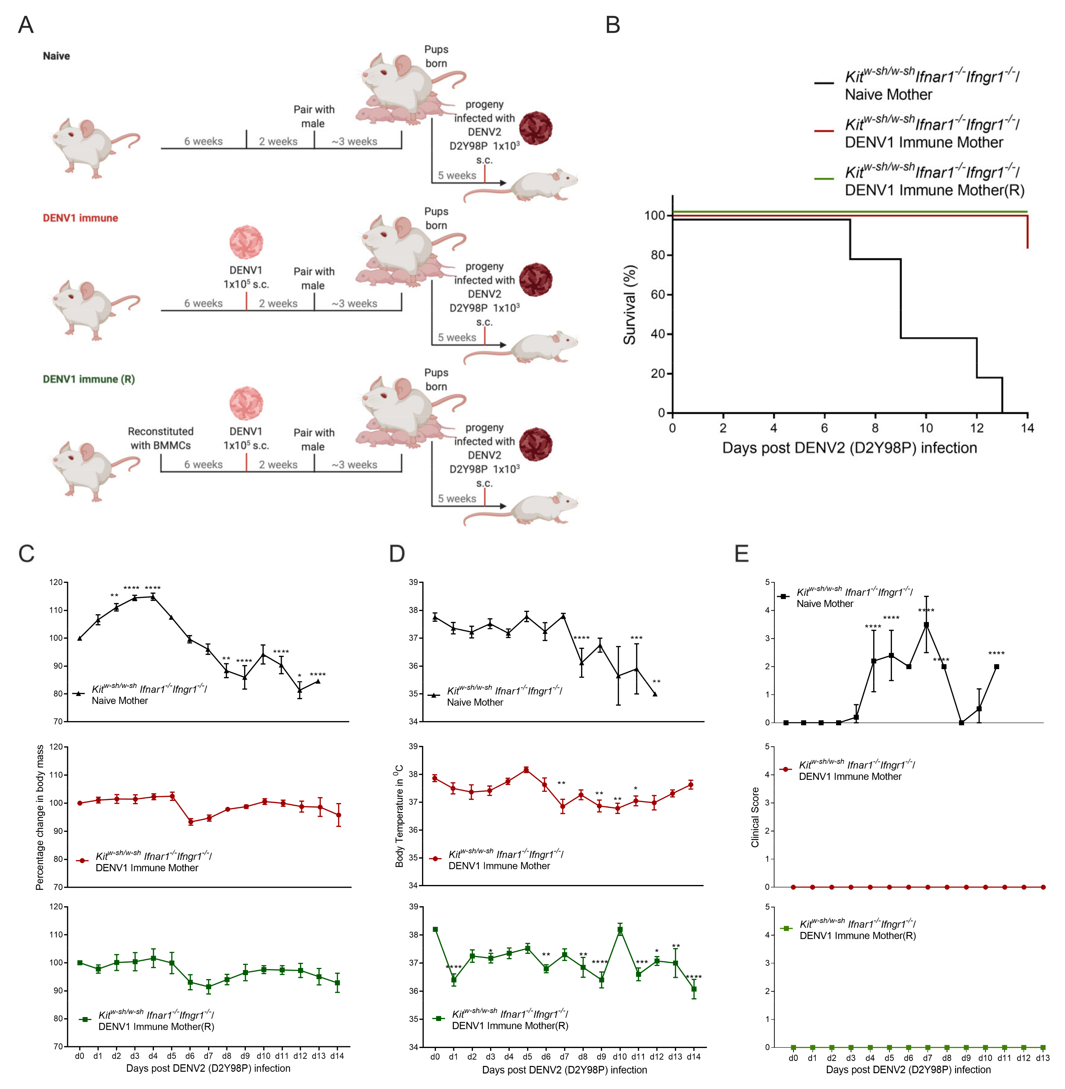 Viruses 13 00900 g003