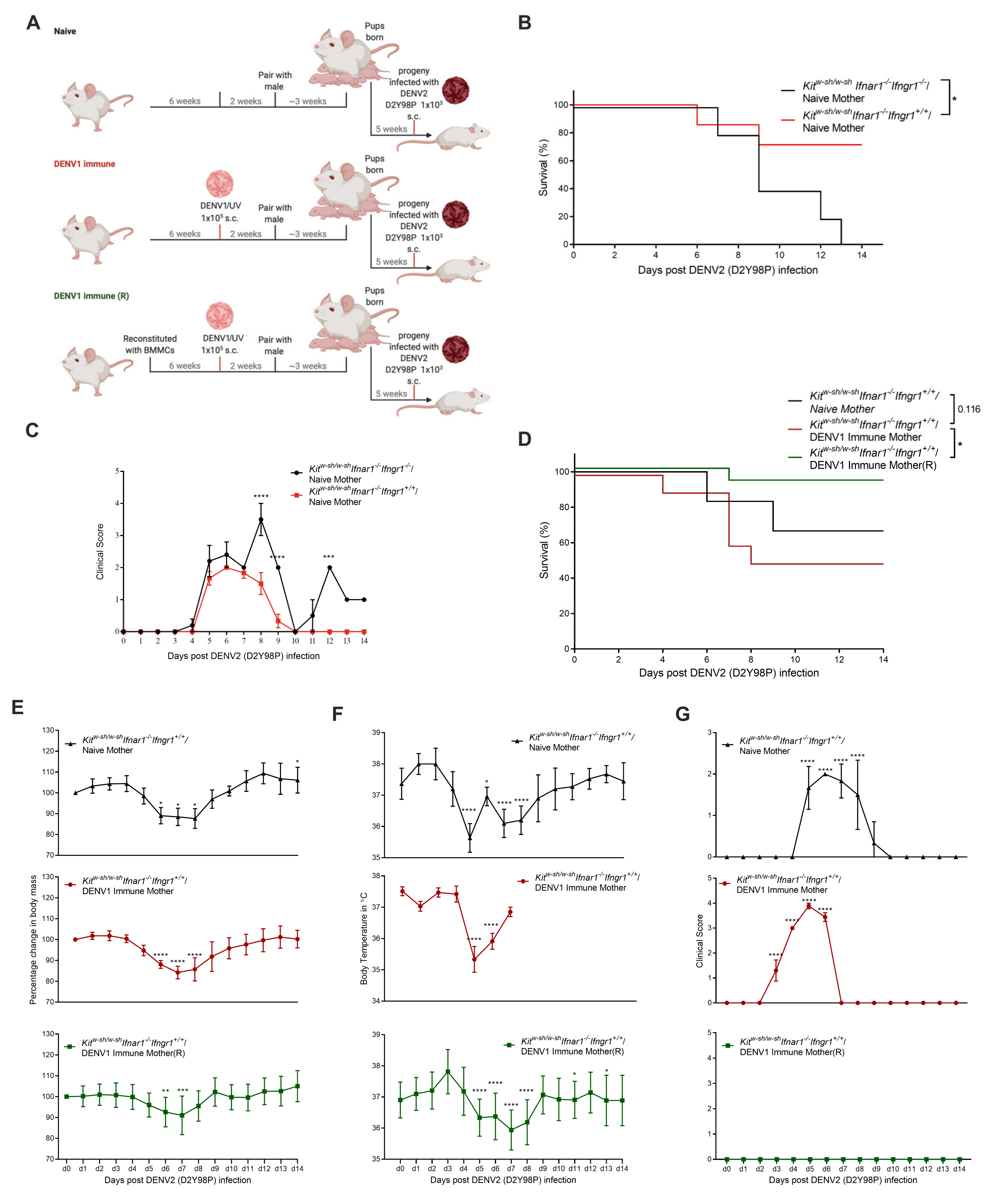 Viruses 13 00900 g004