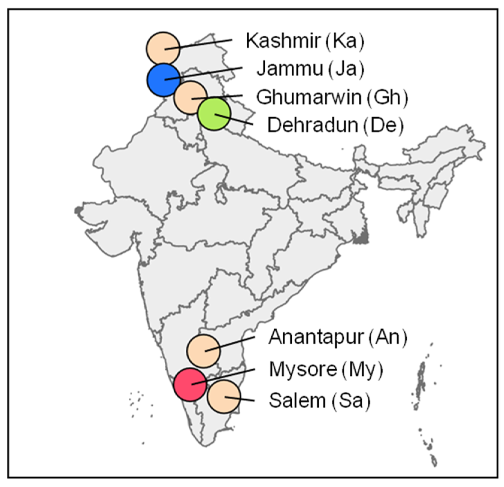 Viruses 13 00901 g001 Viruses 13 00901 g001