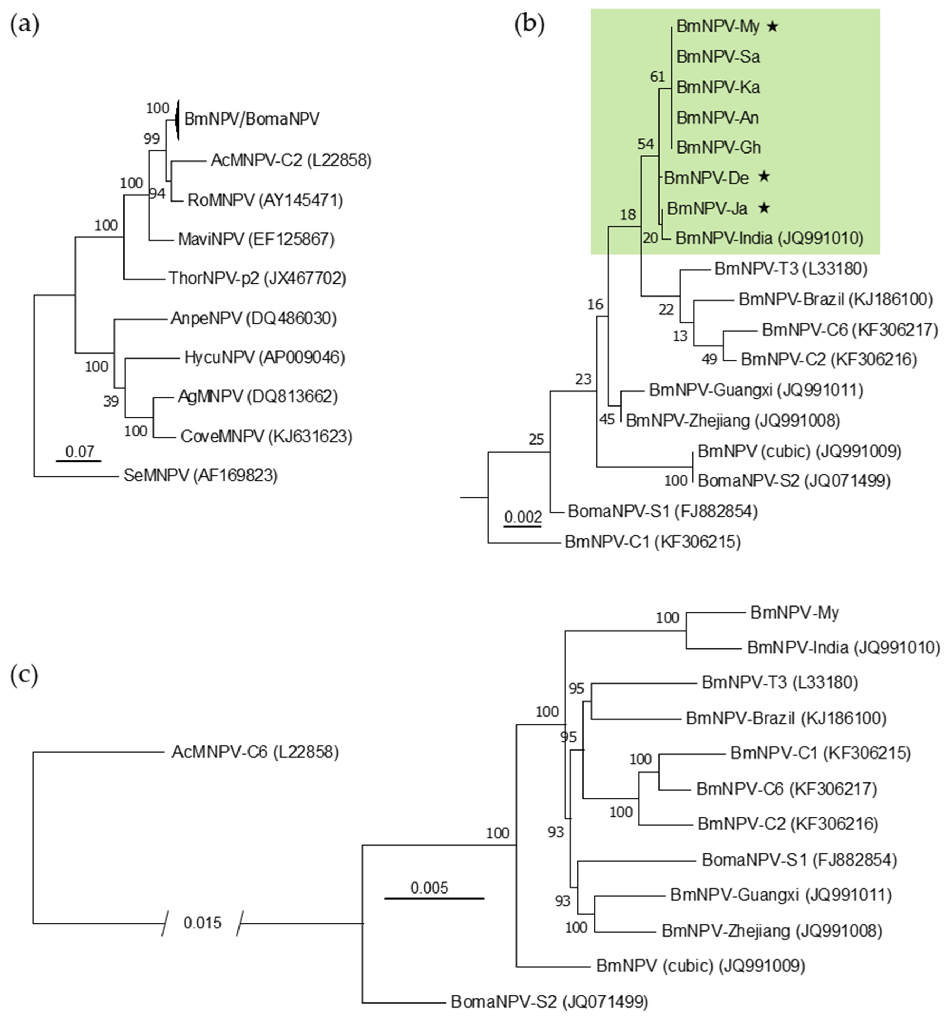 Viruses 13 00901 g002 Viruses 13 00901 g002