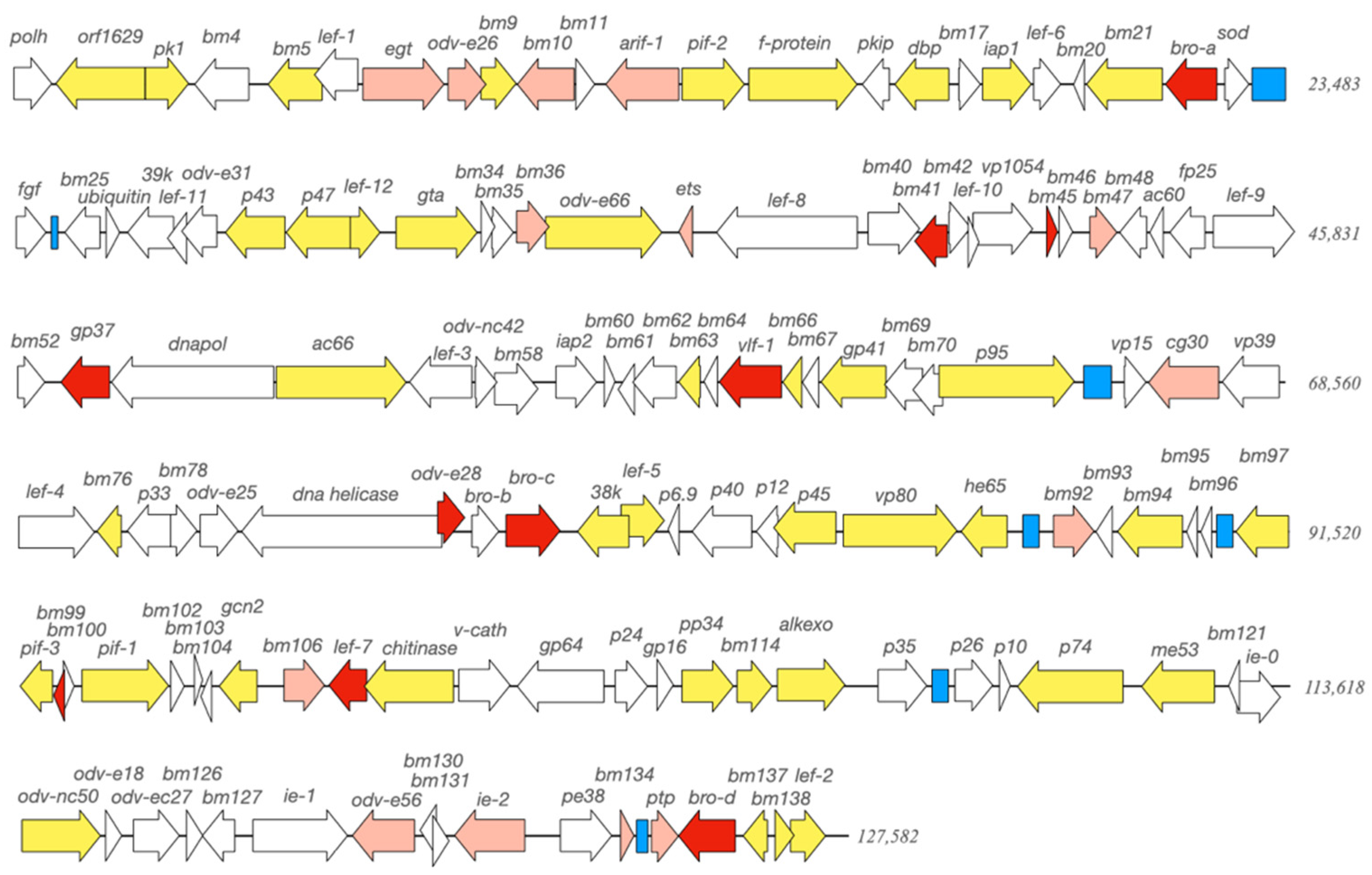Viruses 13 00901 g003 Viruses 13 00901 g003