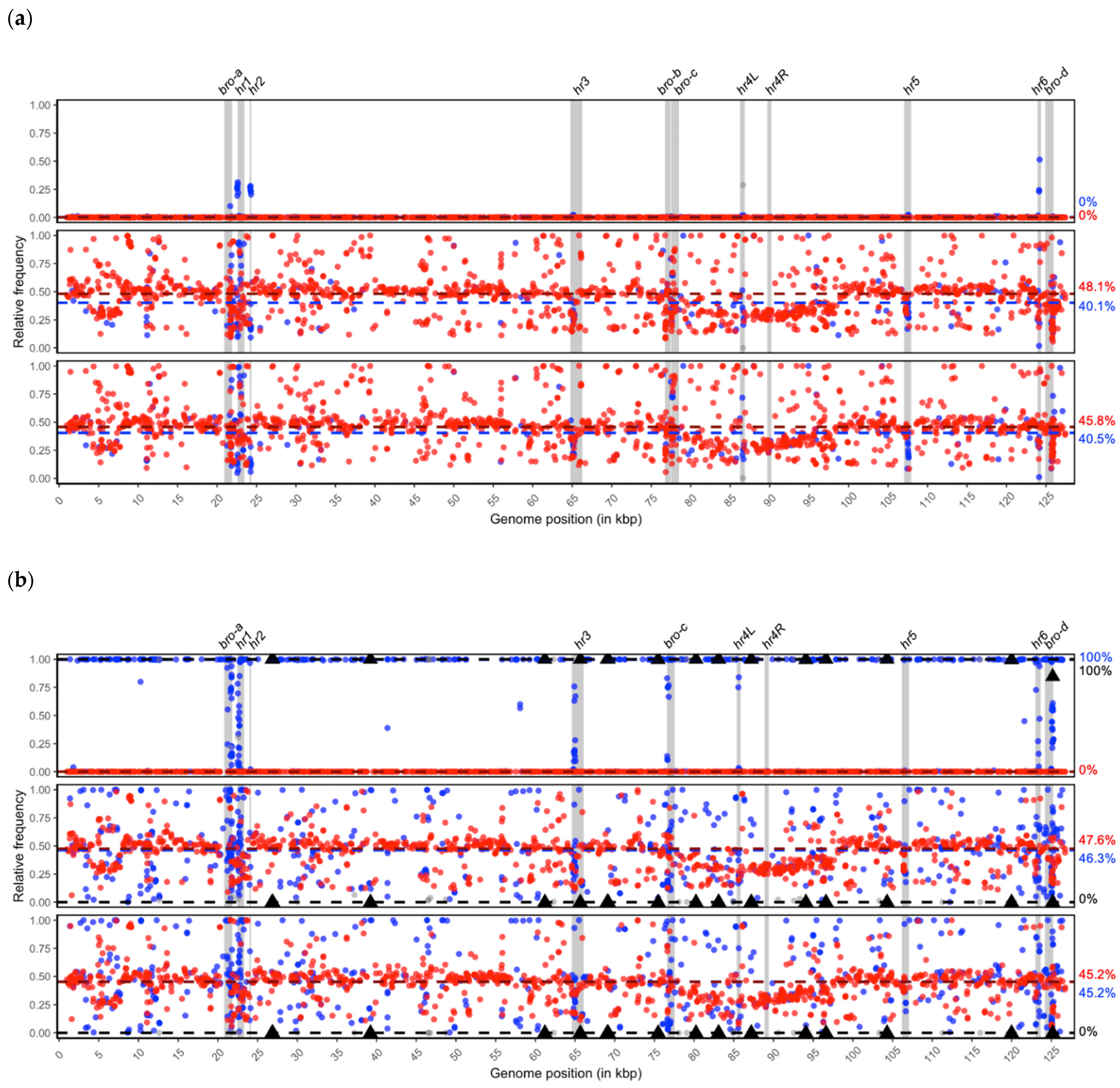 Viruses 13 00901 g004 Viruses 13 00901 g004