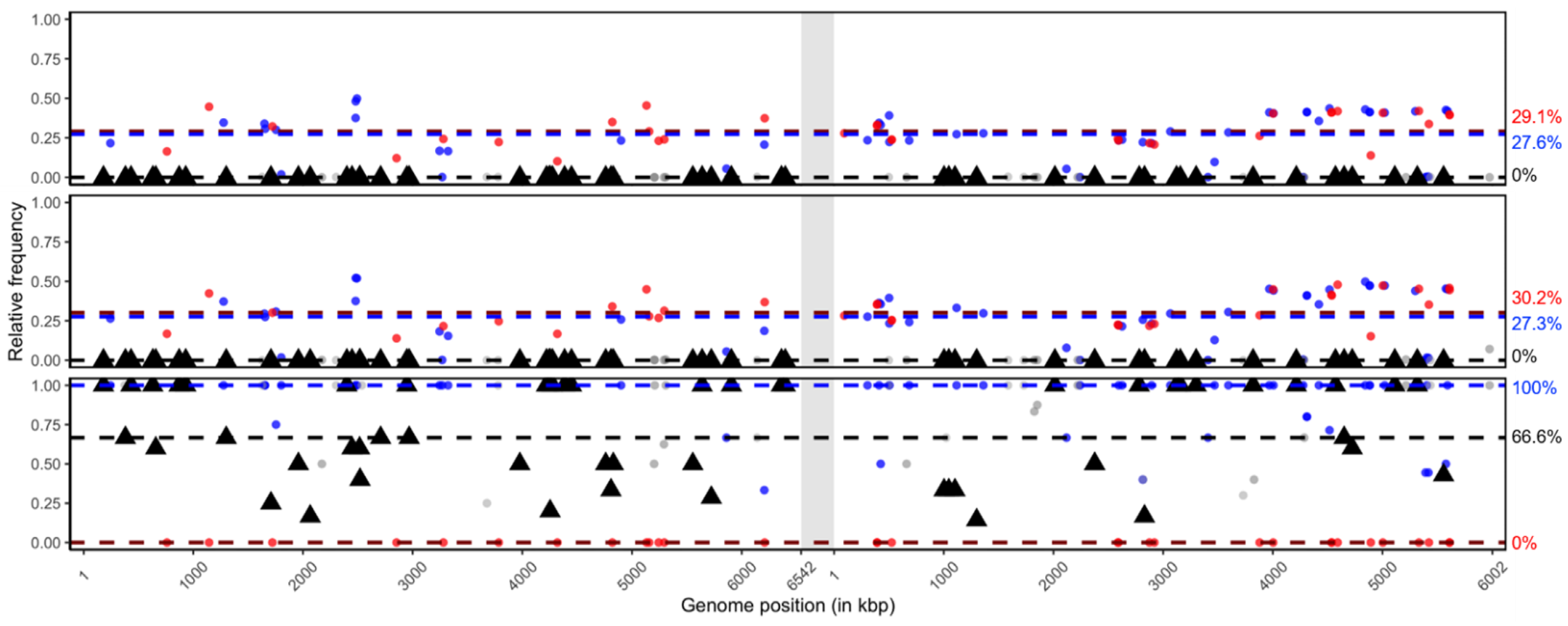 Viruses 13 00901 g007 Viruses 13 00901 g007