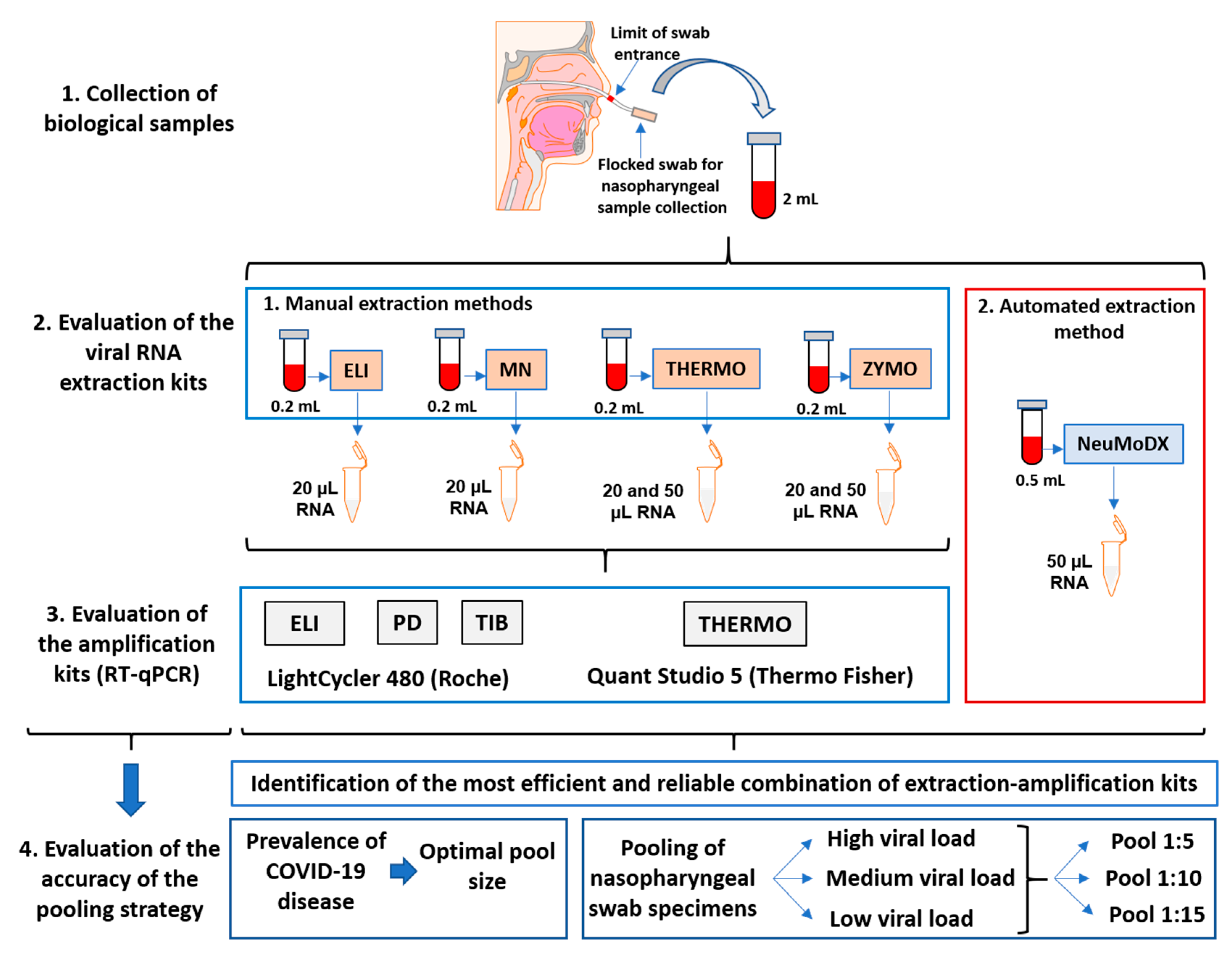 Viruses 13 00902 g001