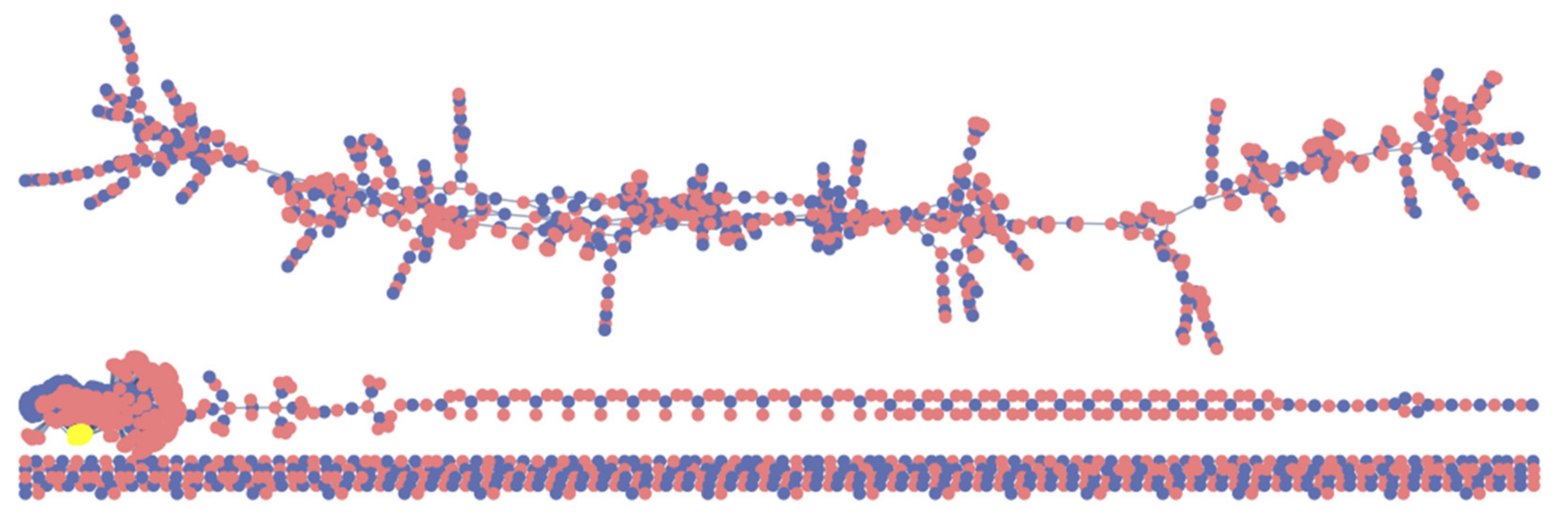 Viruses 13 00906 g001