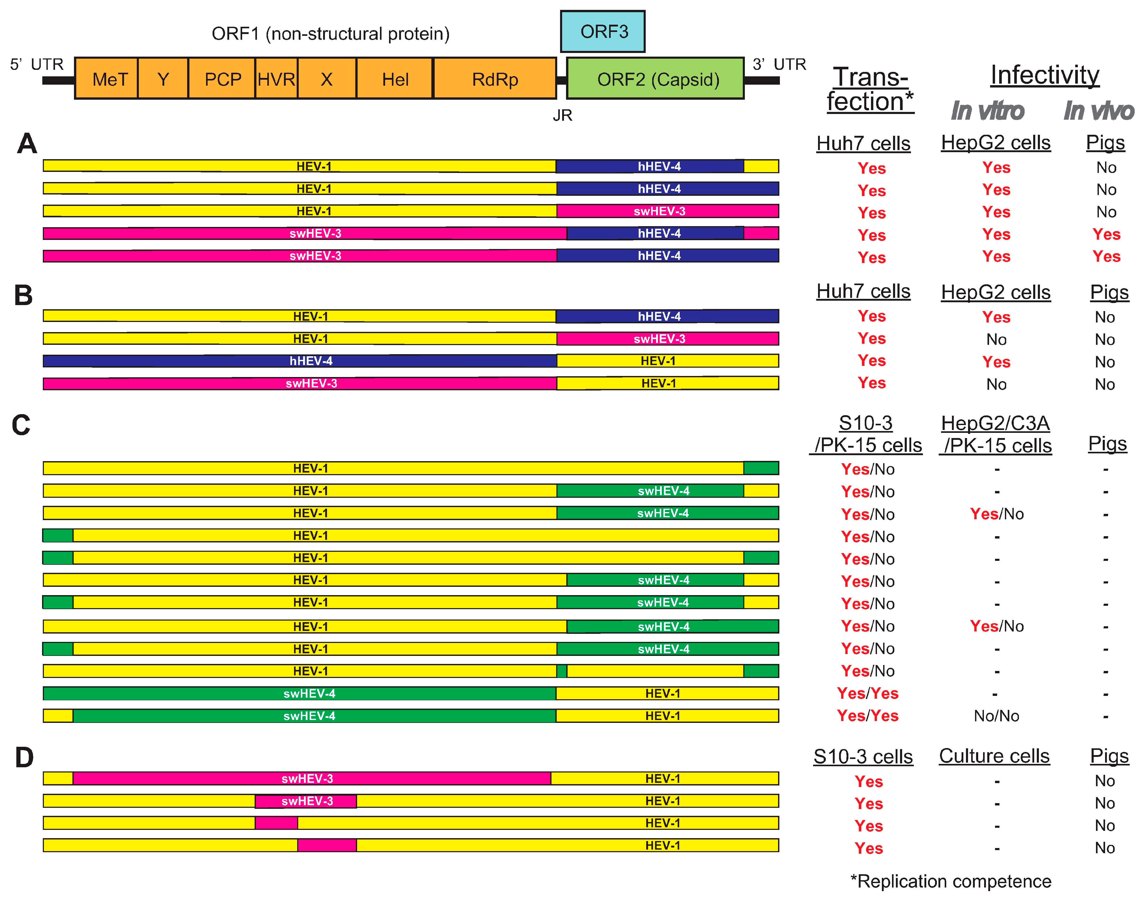 Viruses 13 00909 g002 Viruses 13 00909 g002