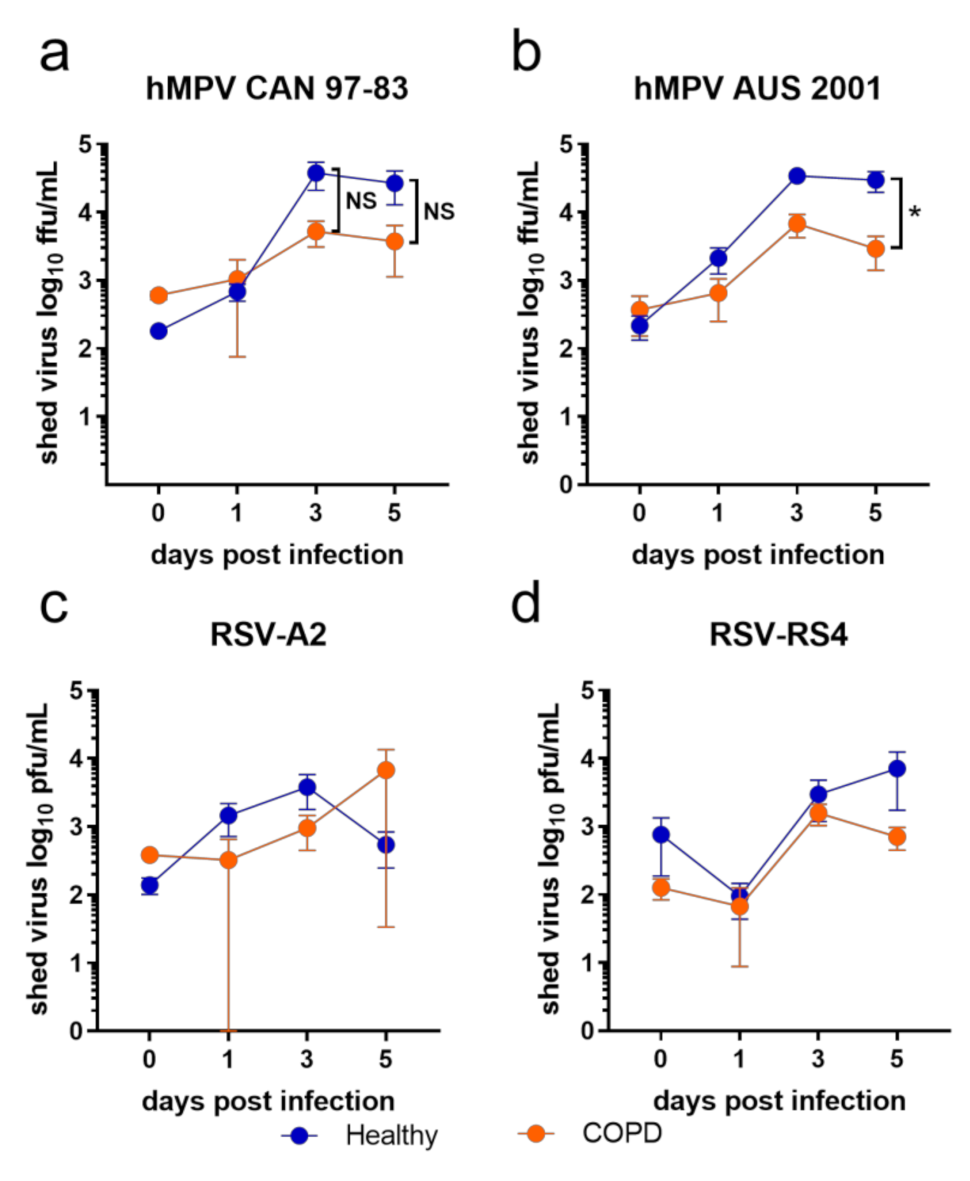 Viruses 13 00911 g001 Viruses 13 00911 g001