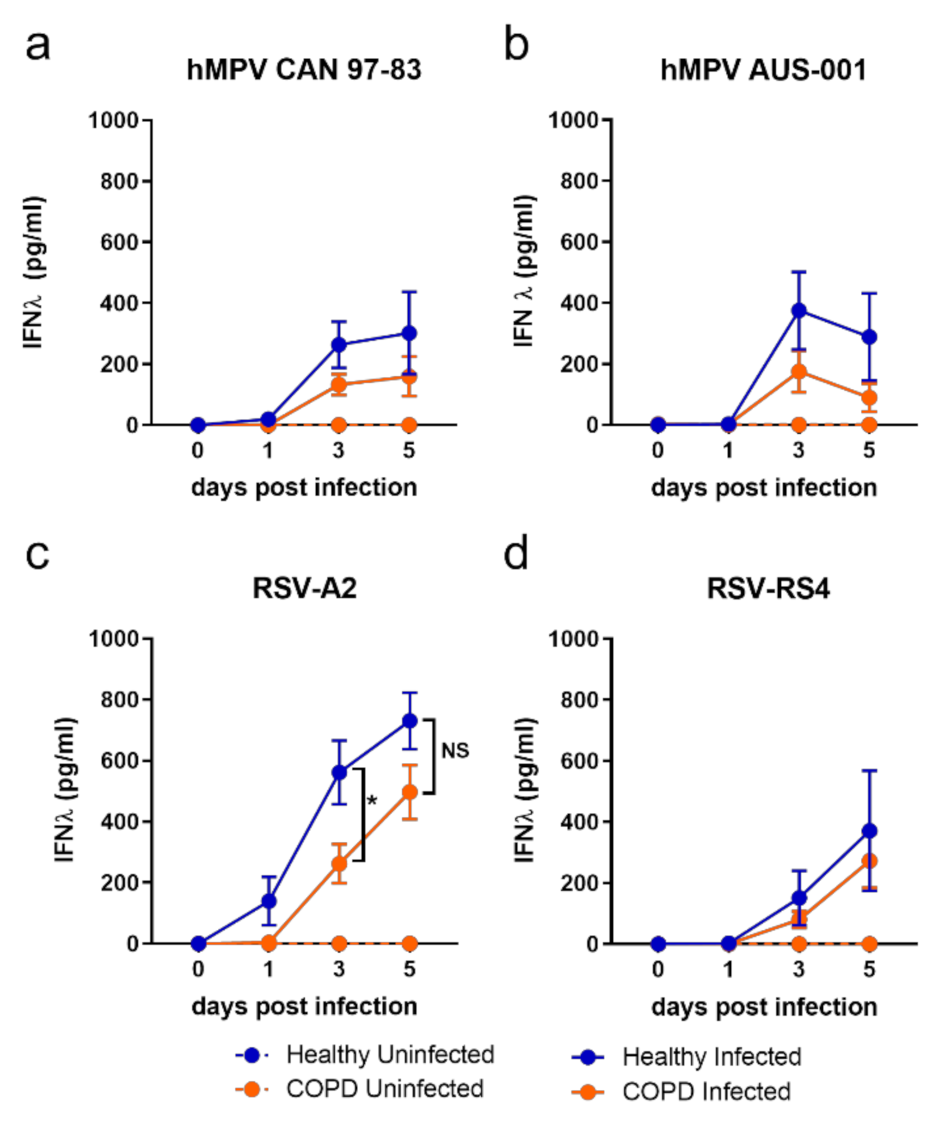 Viruses 13 00911 g002 Viruses 13 00911 g002