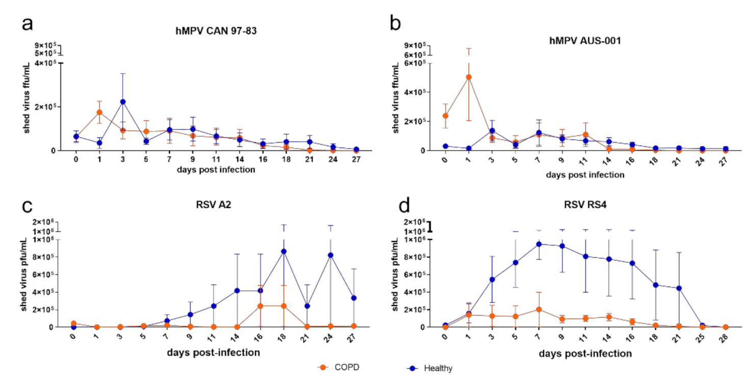 Viruses 13 00911 g004 Viruses 13 00911 g004
