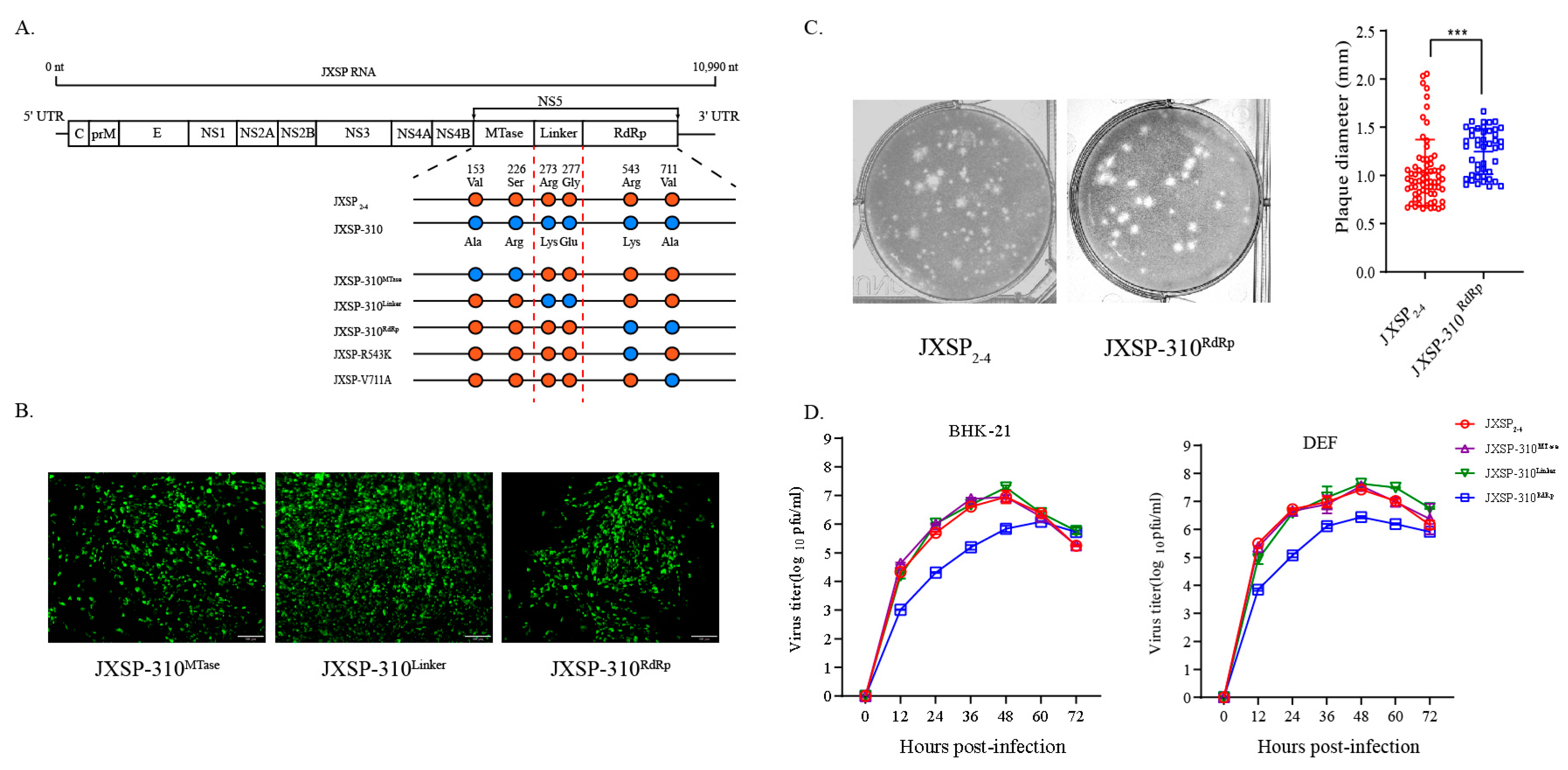 Viruses 13 00921 g001 Viruses 13 00921 g001