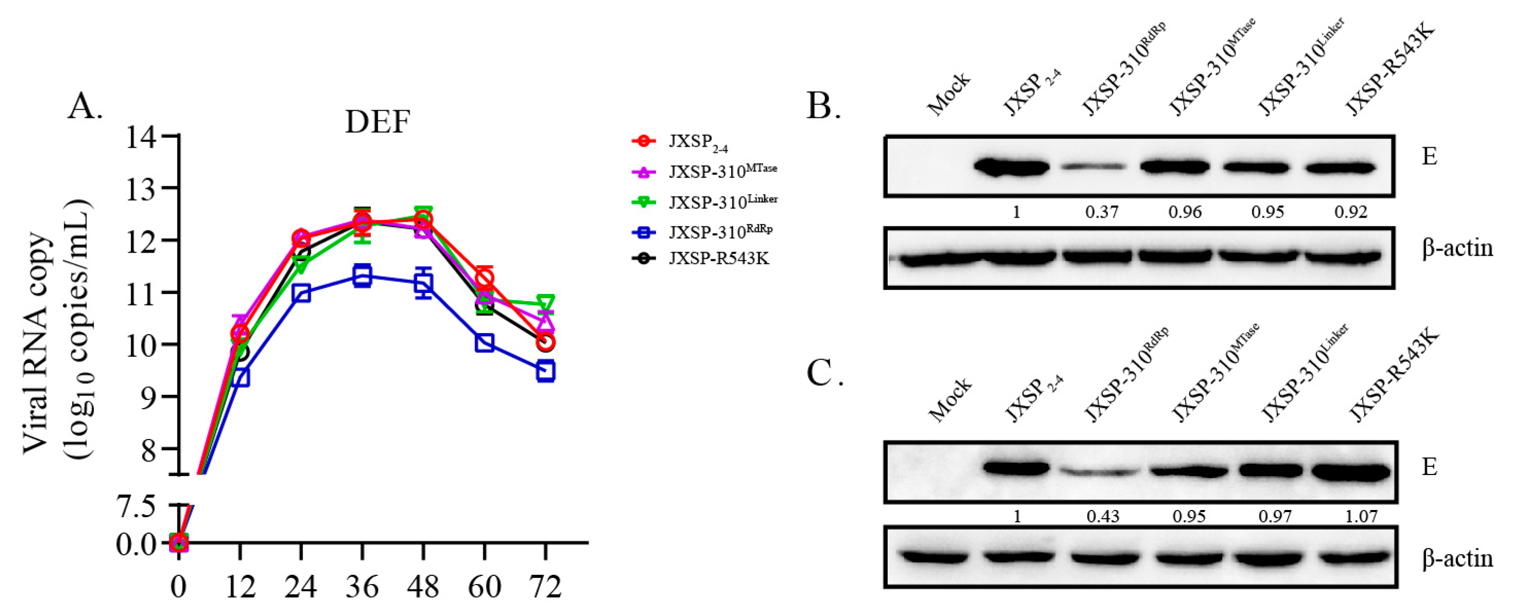 Viruses 13 00921 g007 Viruses 13 00921 g007