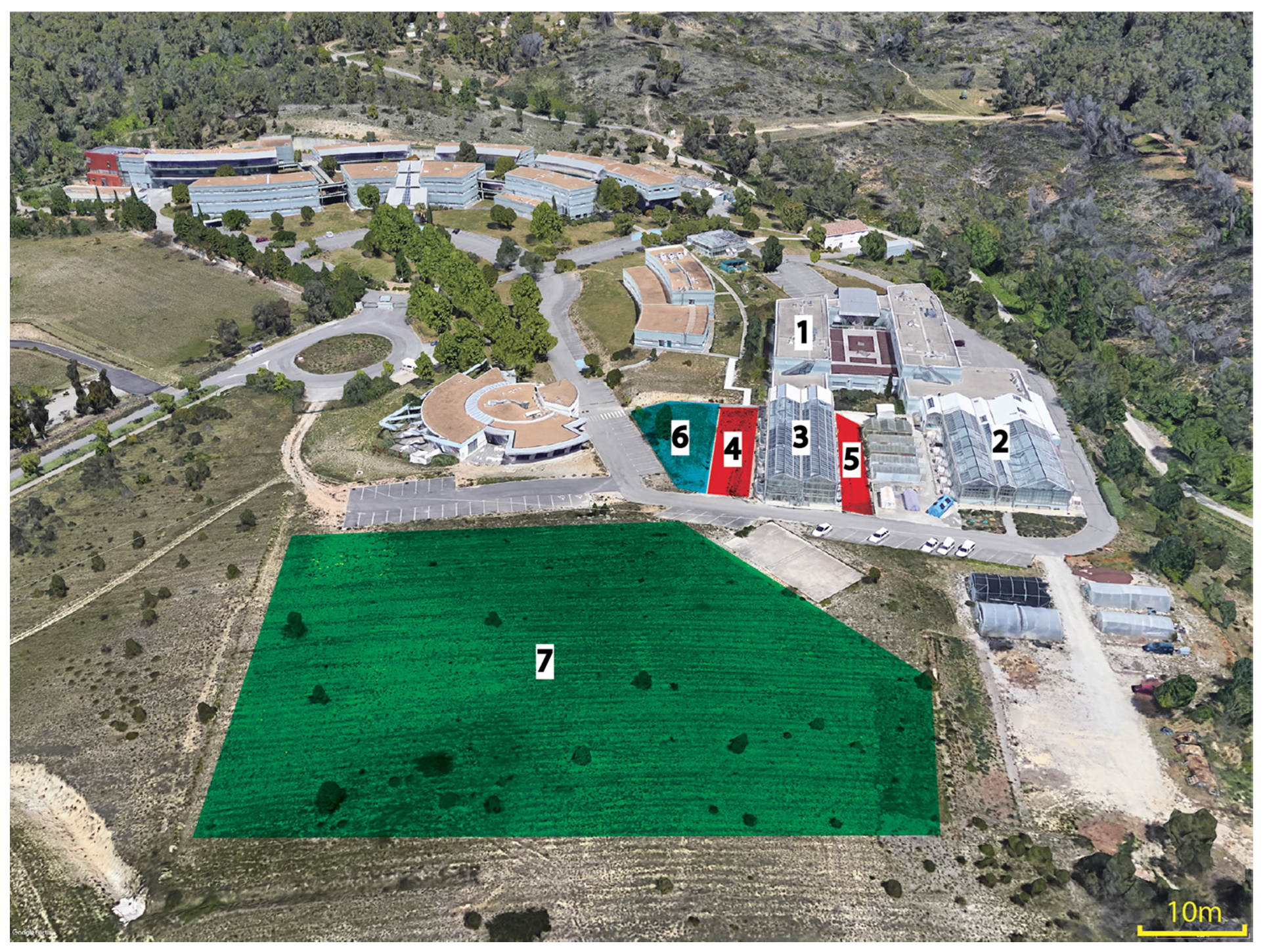 Viruses 13 00922 g001 Viruses 13 00922 g001