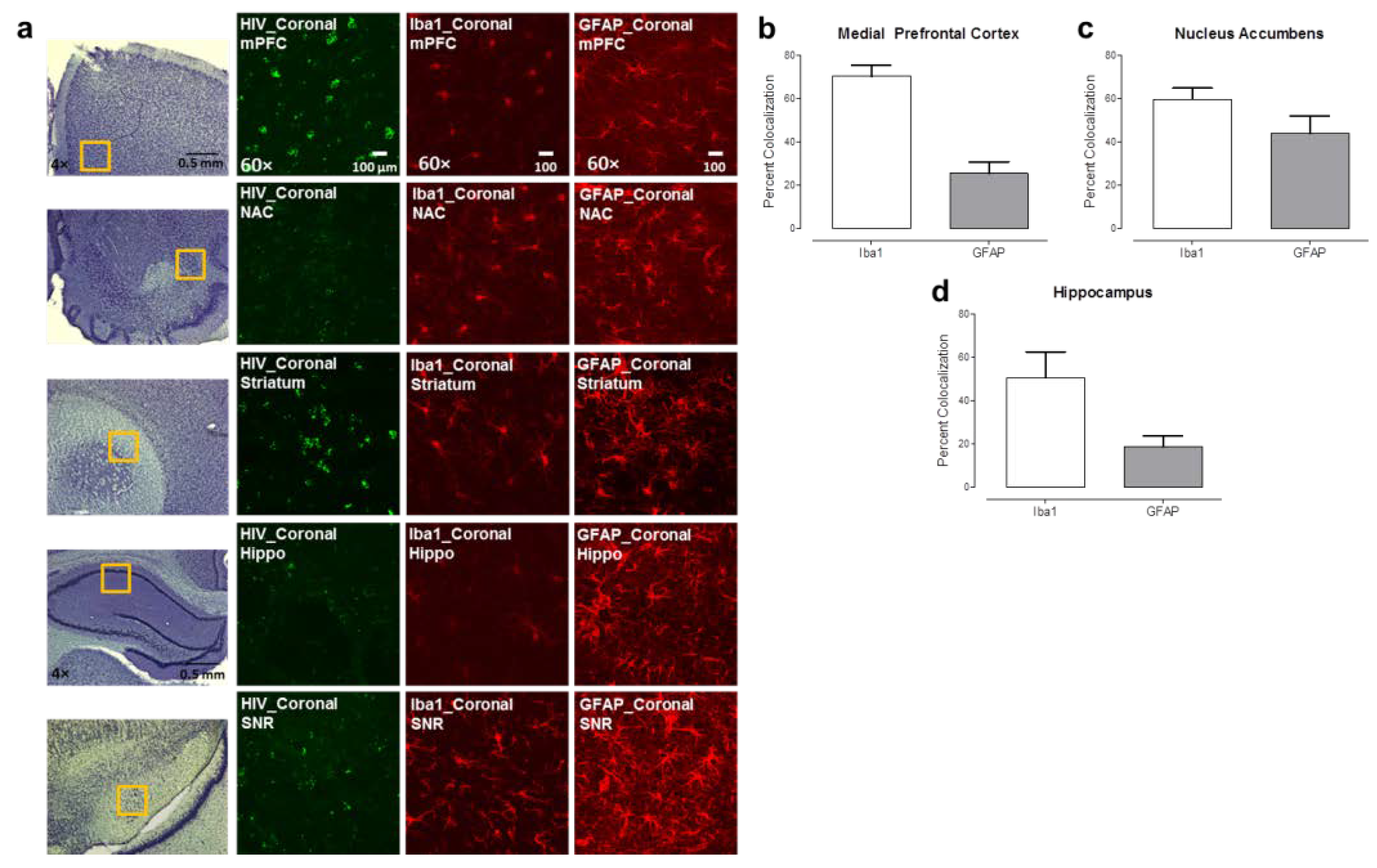 Viruses 13 00924 g003 Viruses 13 00924 g003