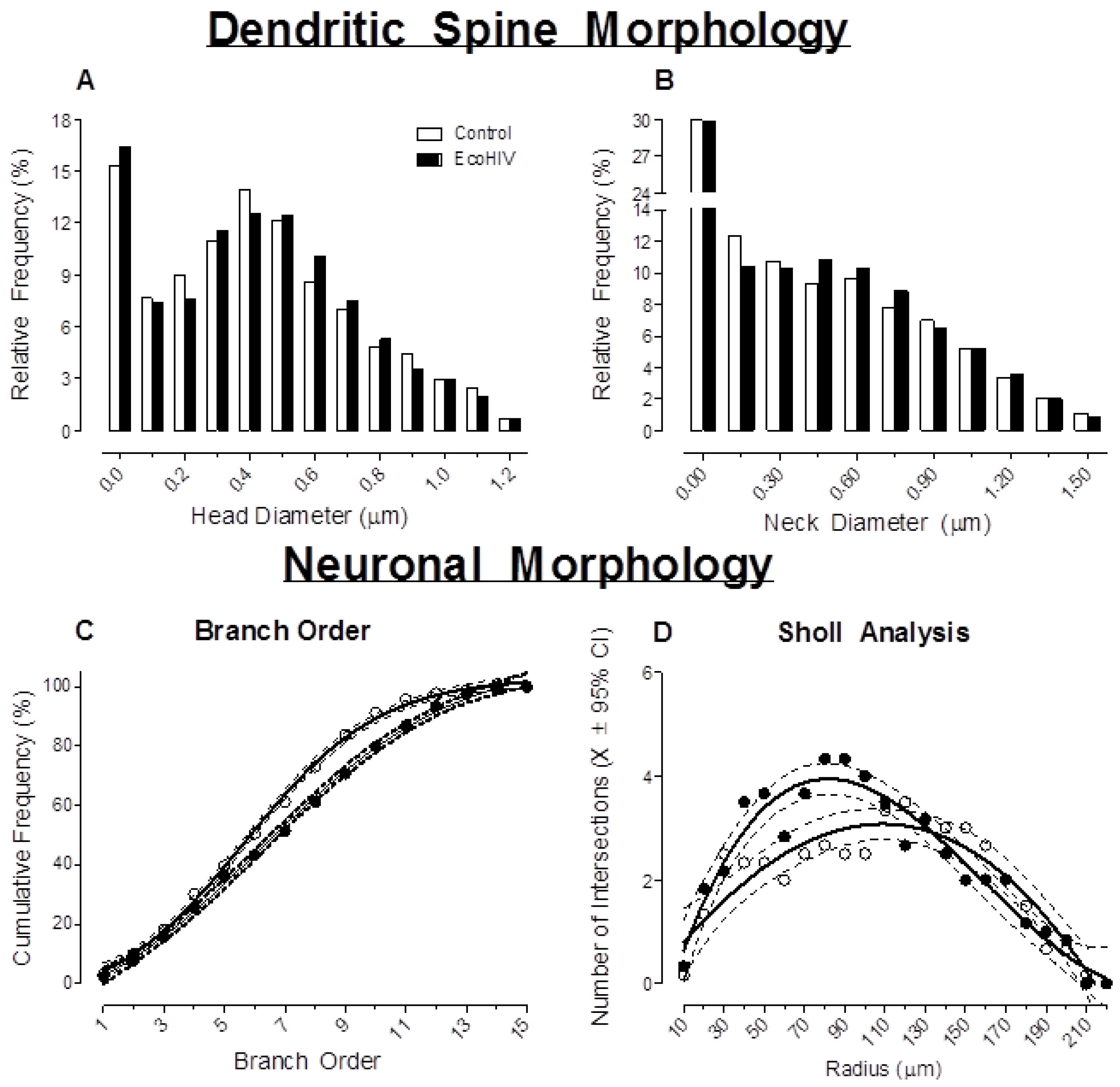 Viruses 13 00924 g008 Viruses 13 00924 g008