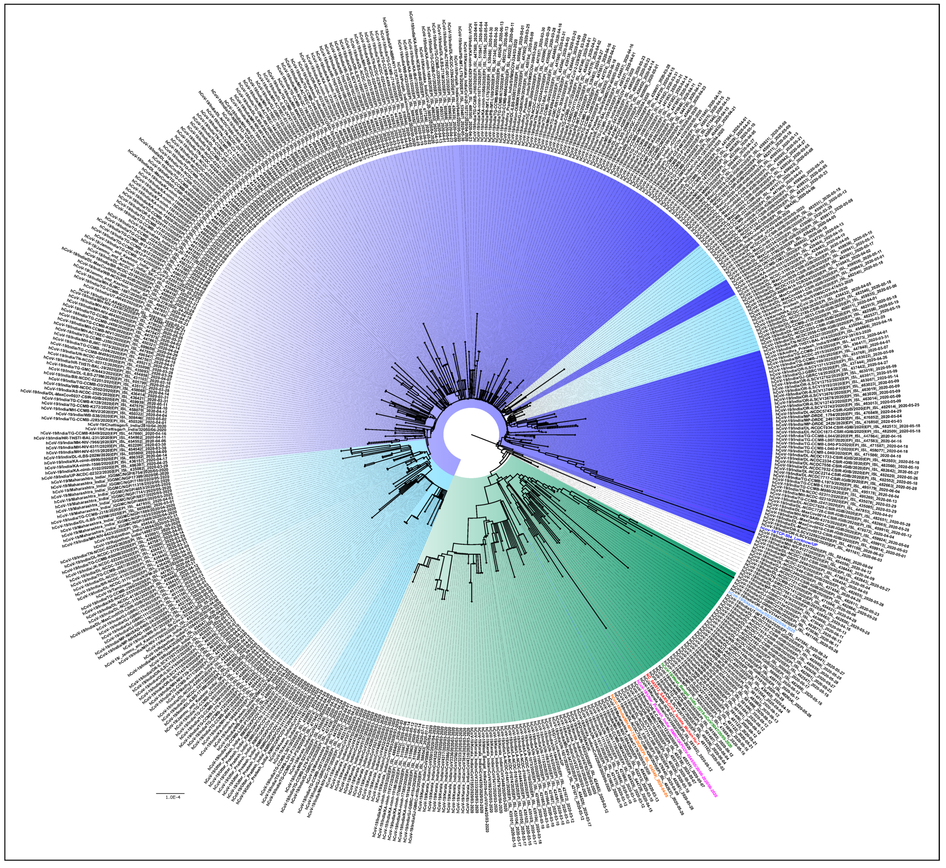 Viruses 13 00925 g003 Viruses 13 00925 g003