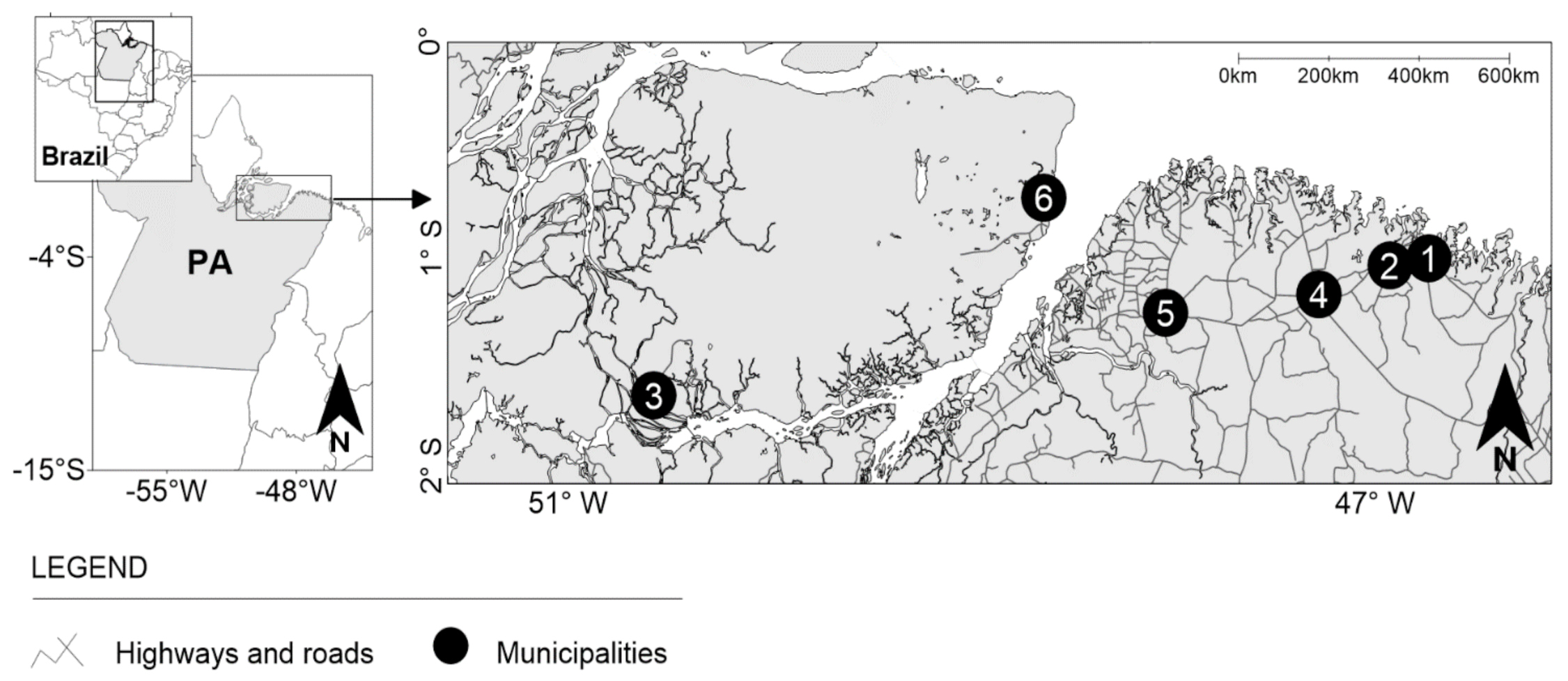 Viruses 13 00926 g001 Viruses 13 00926 g001