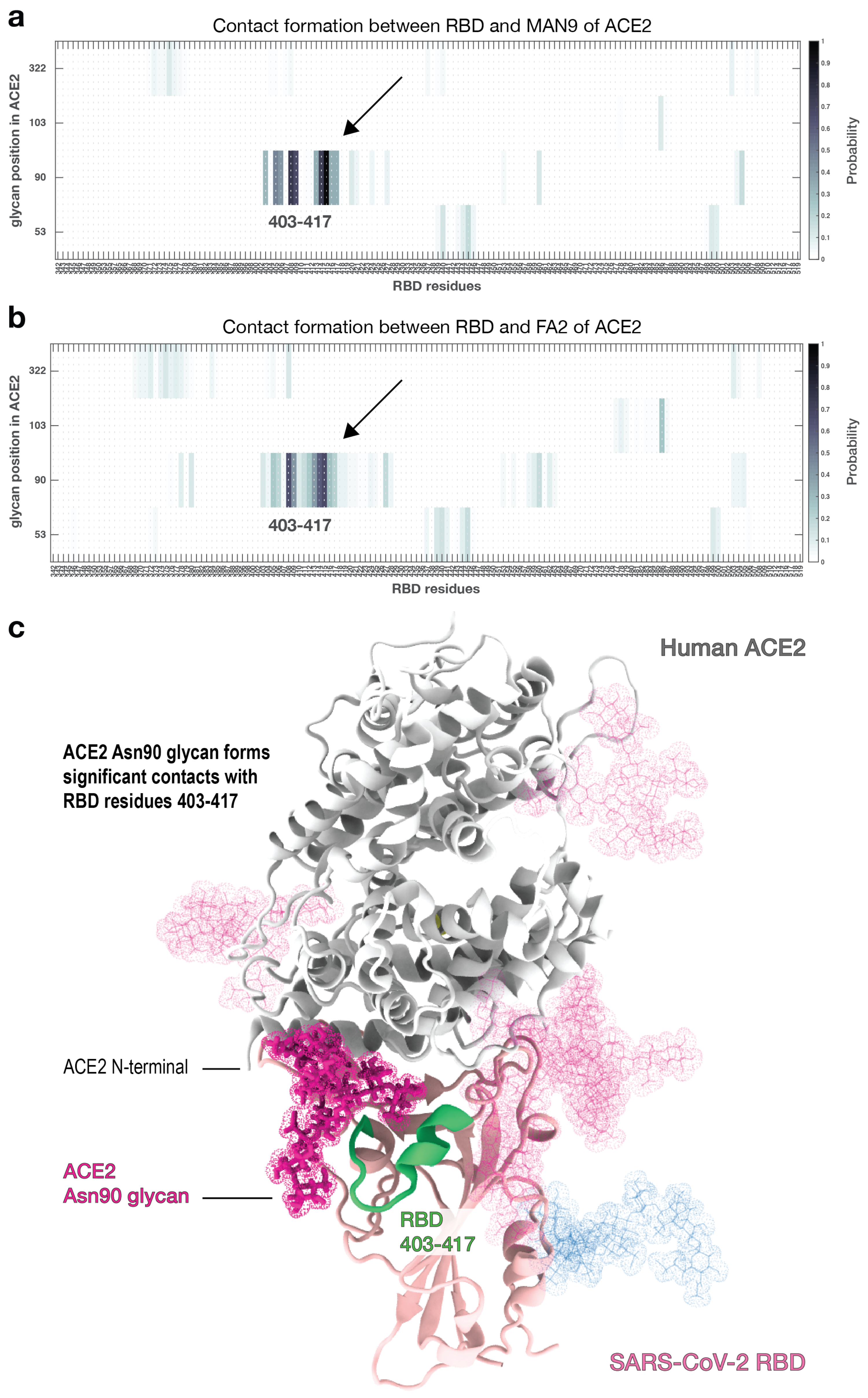 Viruses 13 00927 g004 Viruses 13 00927 g004
