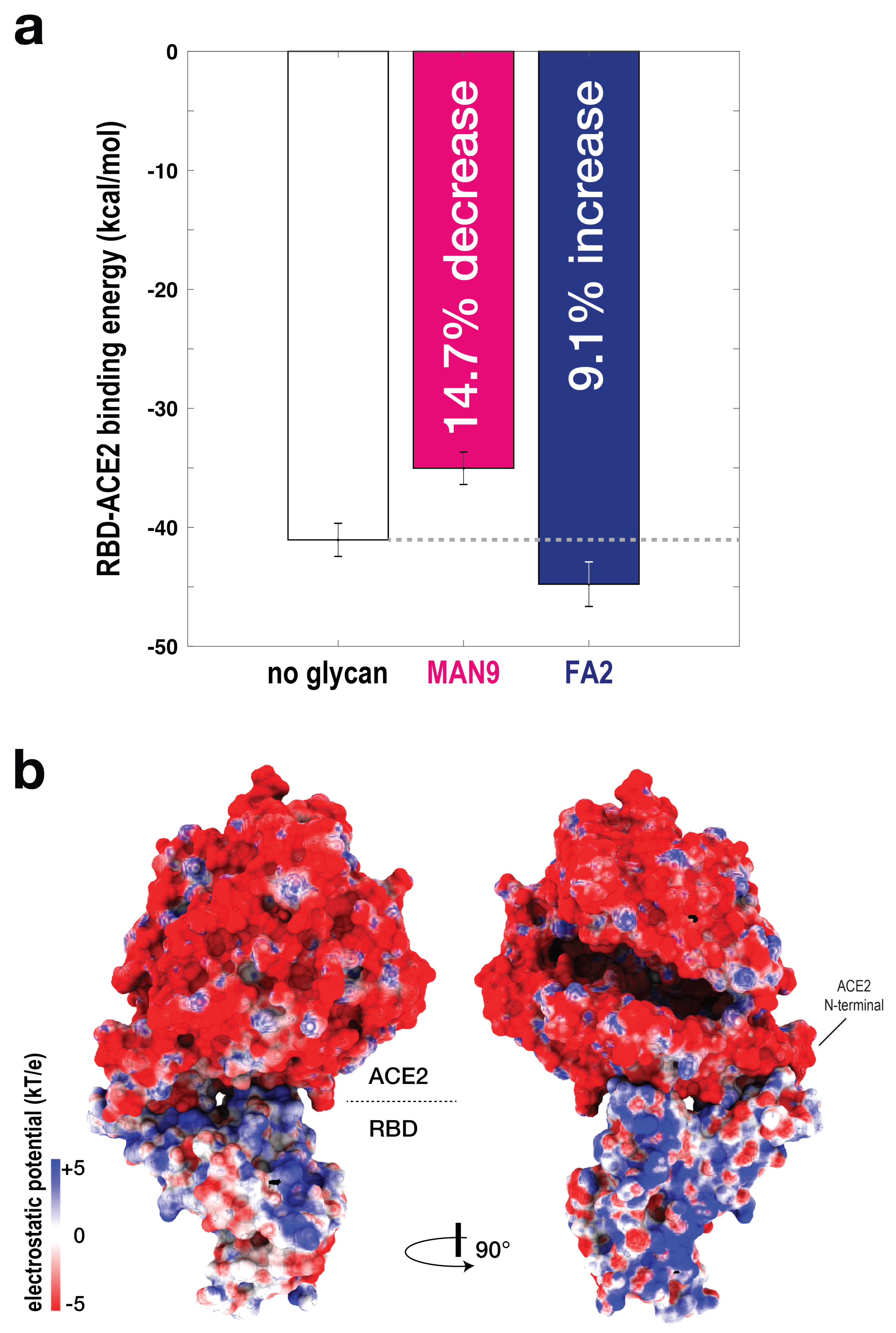 Viruses 13 00927 g005 Viruses 13 00927 g005