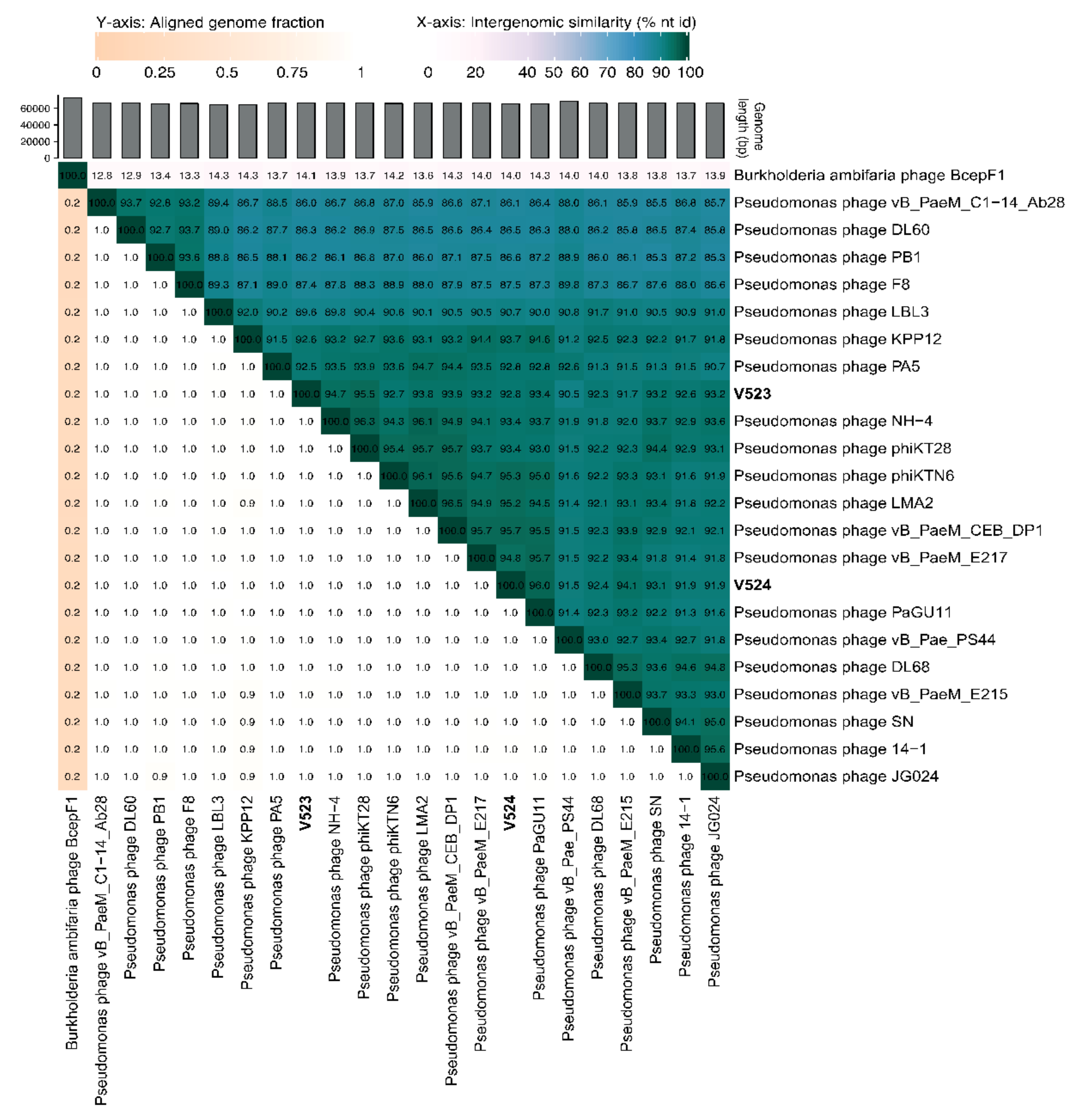 Viruses 13 00928 g004 Viruses 13 00928 g004