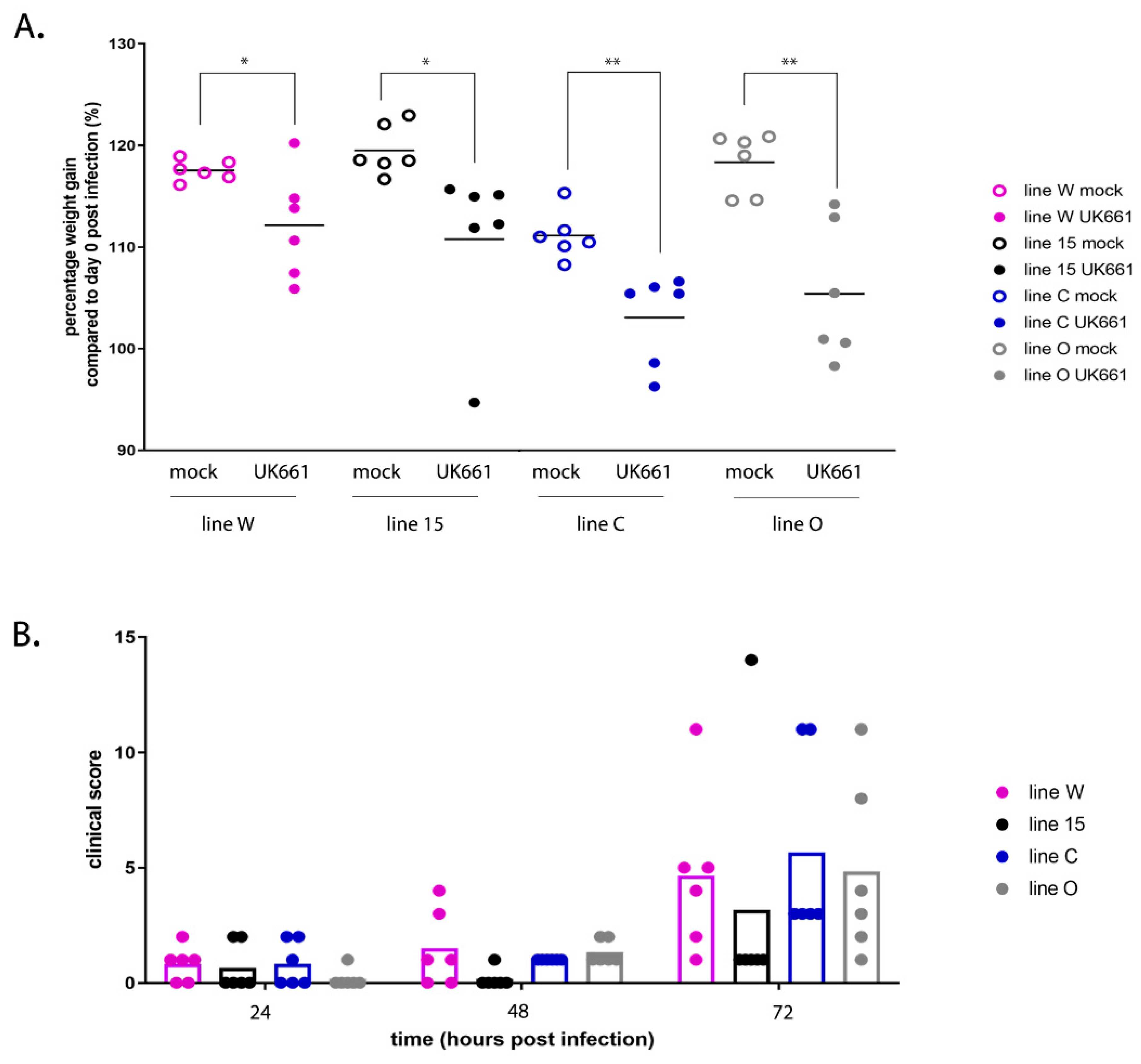 Viruses 13 00933 g001