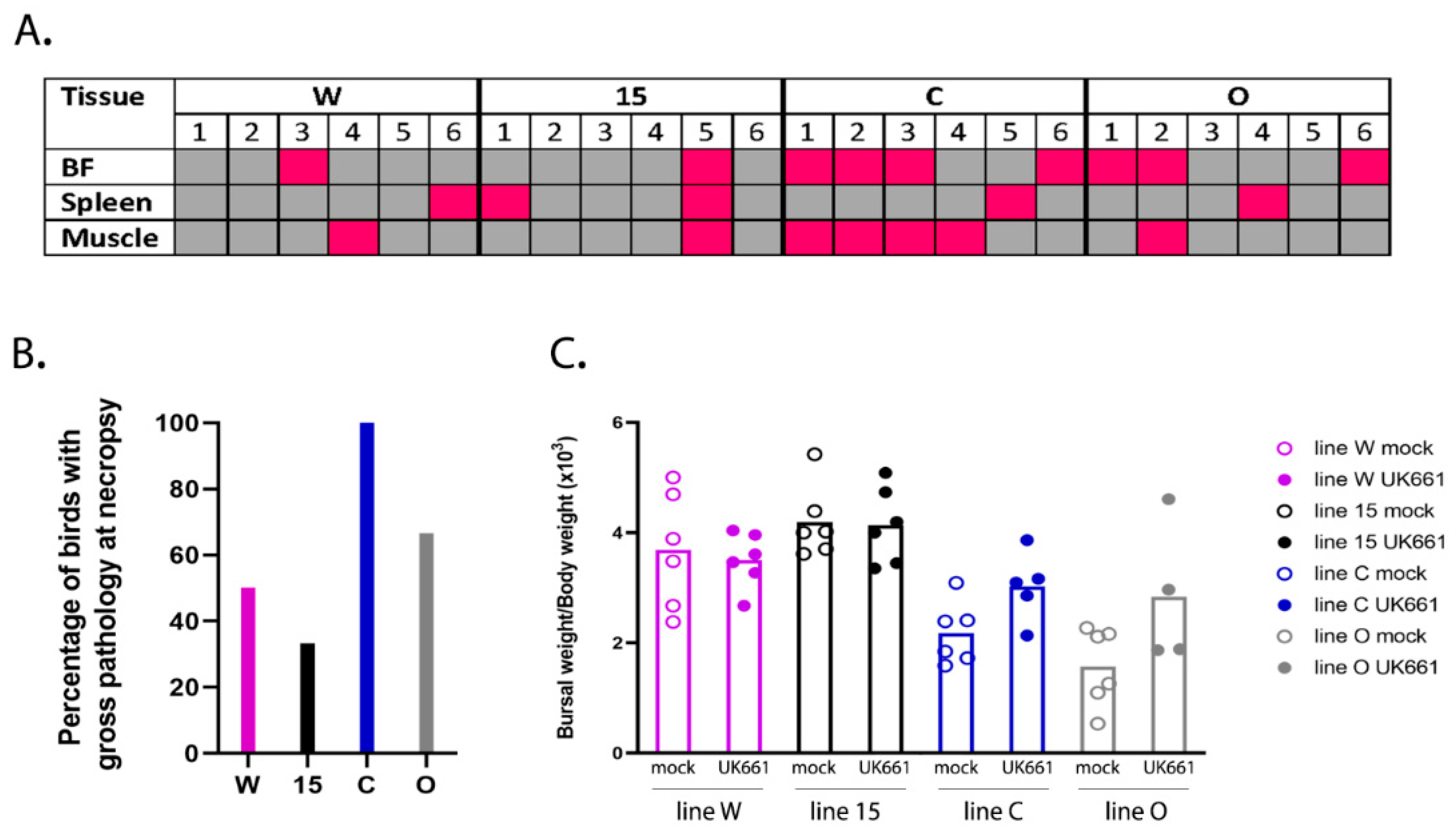 Viruses 13 00933 g002