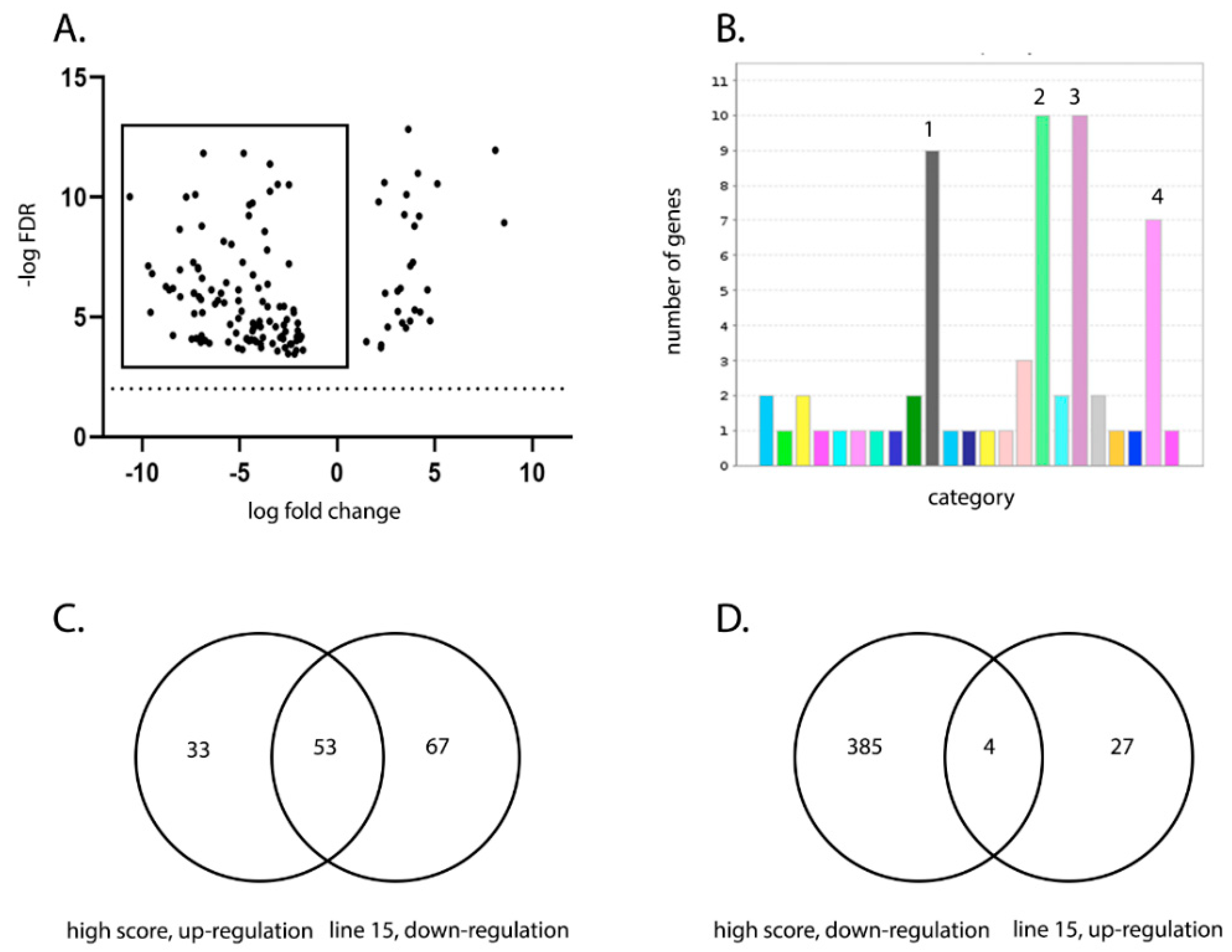 Viruses 13 00933 g005