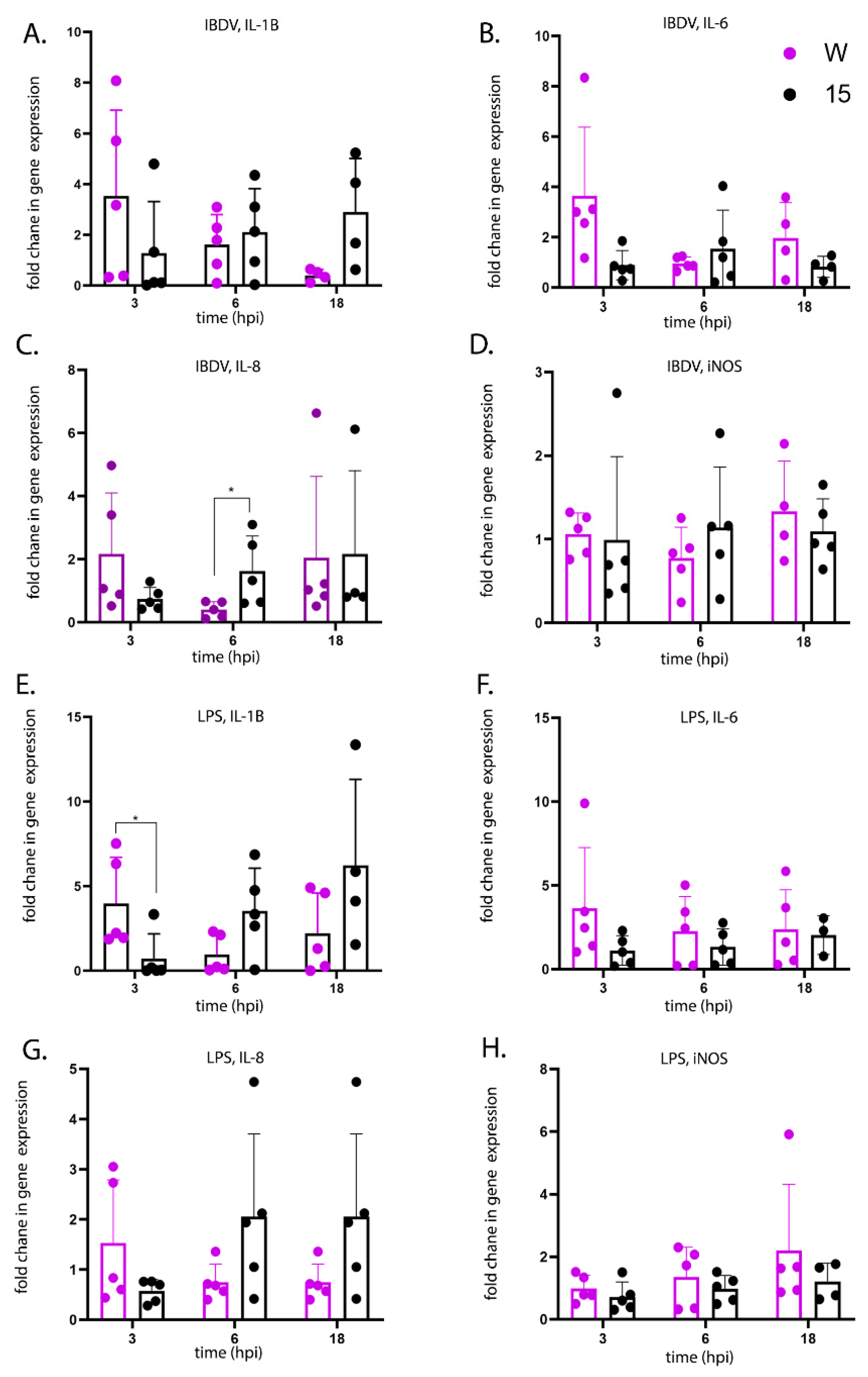 Viruses 13 00933 g006