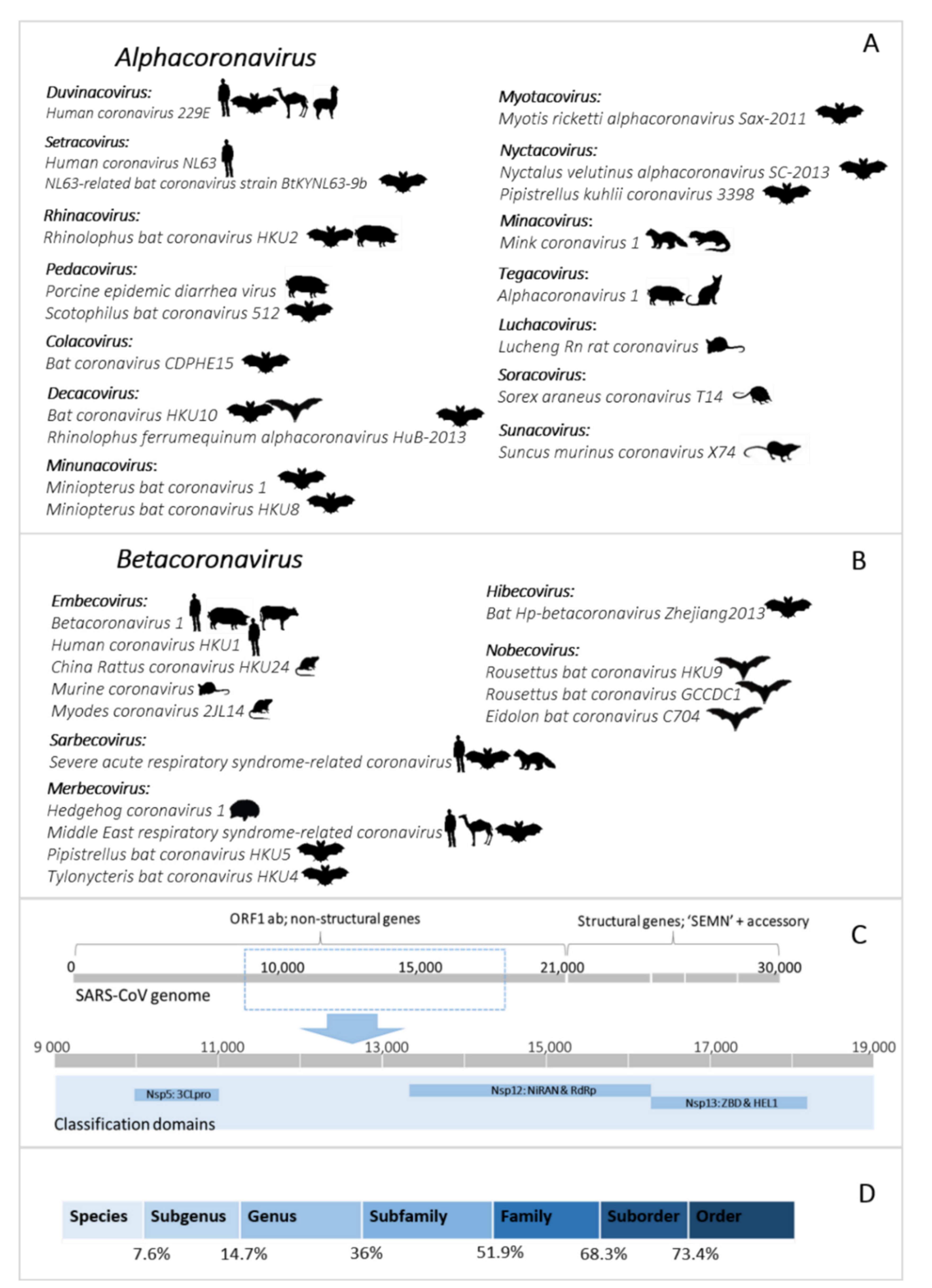 Overview of Bat and Wildlife Coronavirus Surveillance in