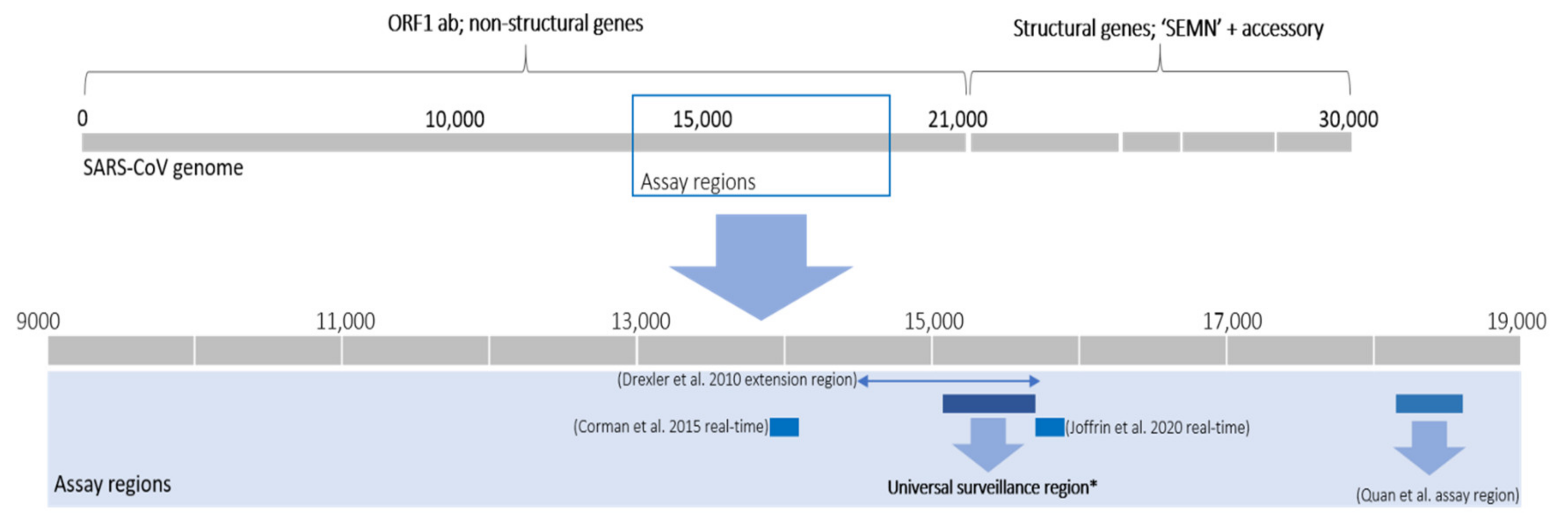 Viruses 13 00936 g004